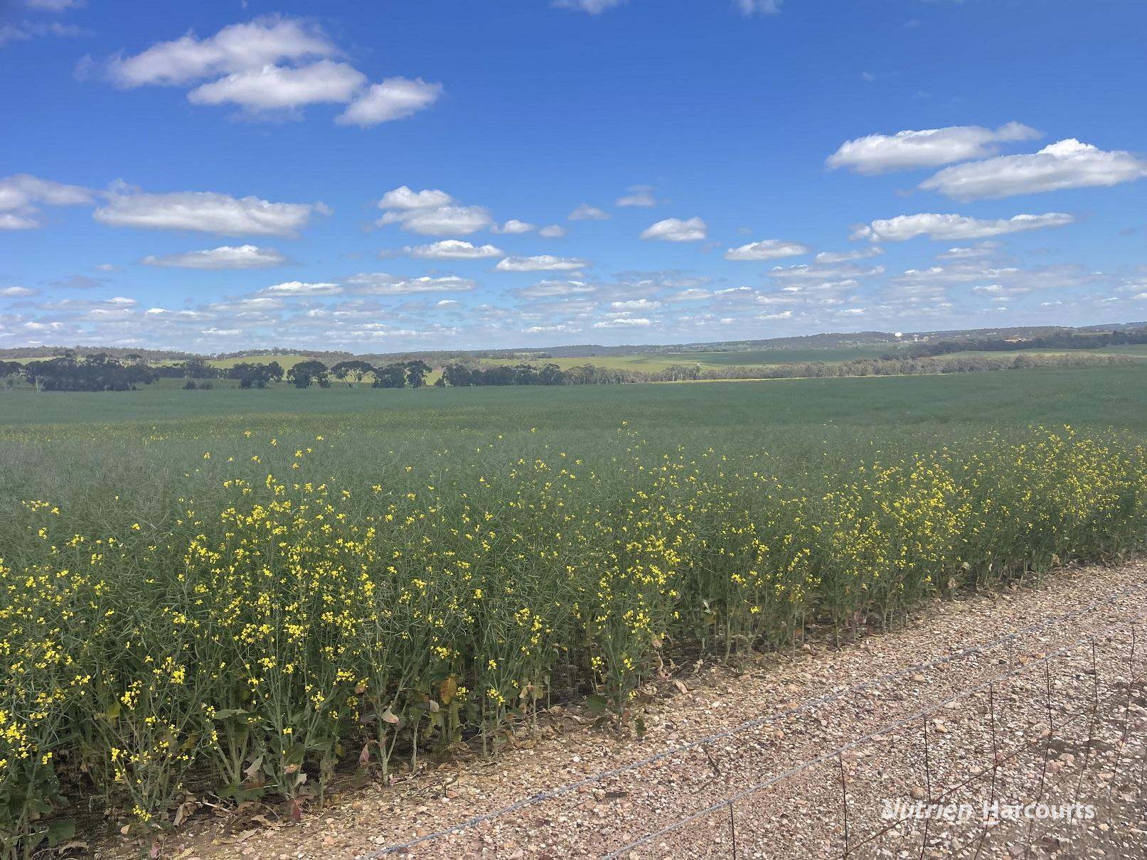 10986 Great Northern Highway, New Norcia For Sale by Farmbuy.com - image 9