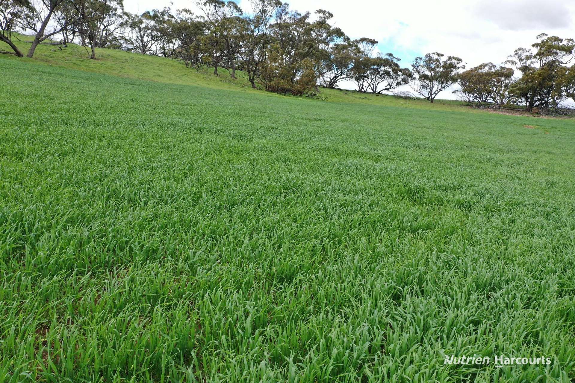 10986 Great Northern Highway, New Norcia For Sale by Farmbuy.com - image 18