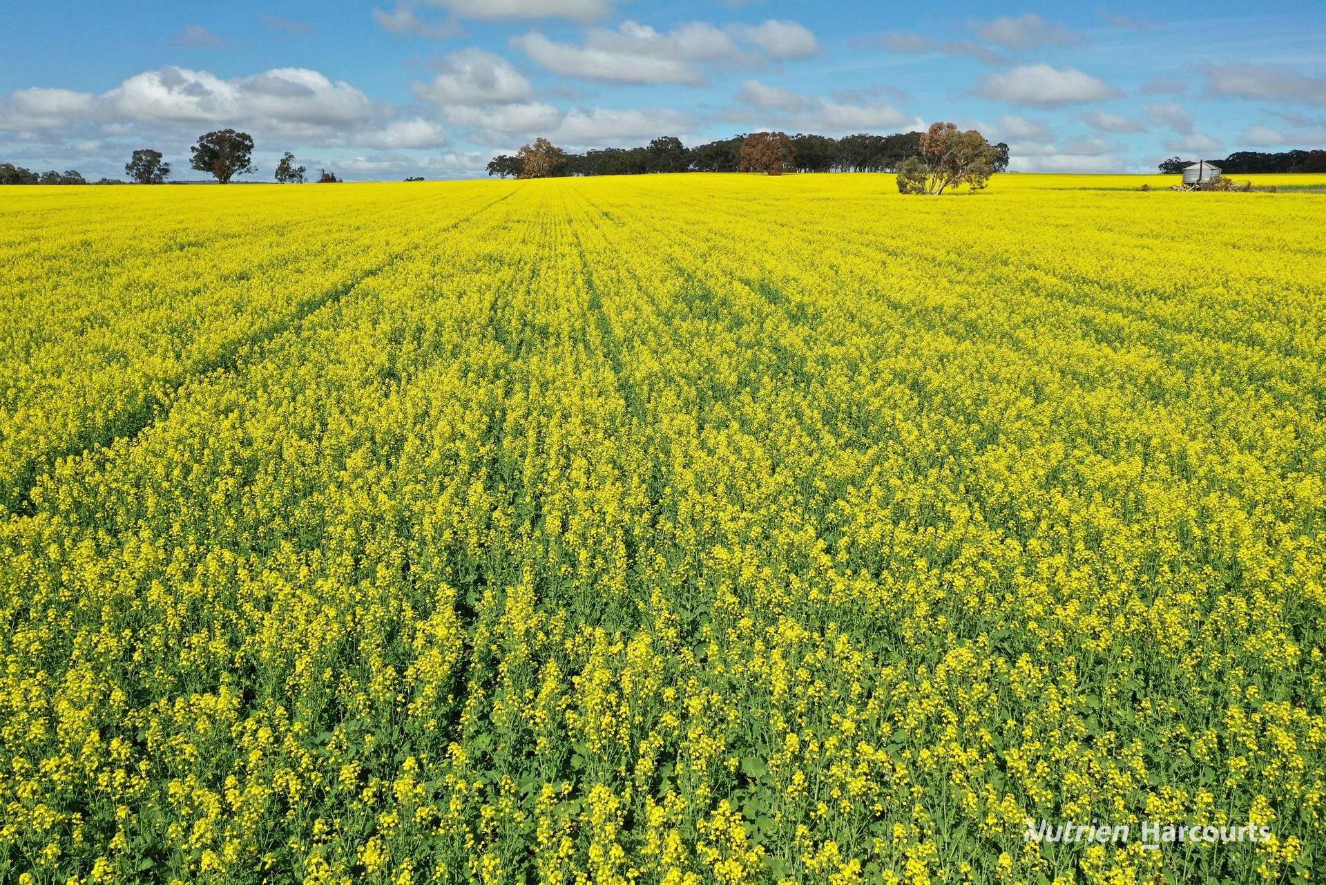 10986 Great Northern Highway, New Norcia For Sale by Farmbuy.com - image 1