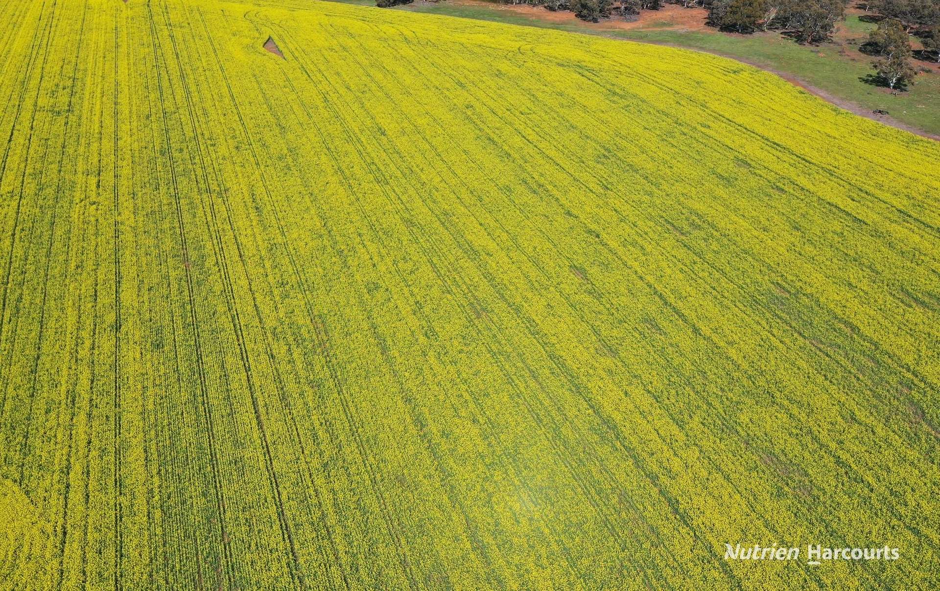 10986 Great Northern Highway, New Norcia For Sale by Farmbuy.com - image 6