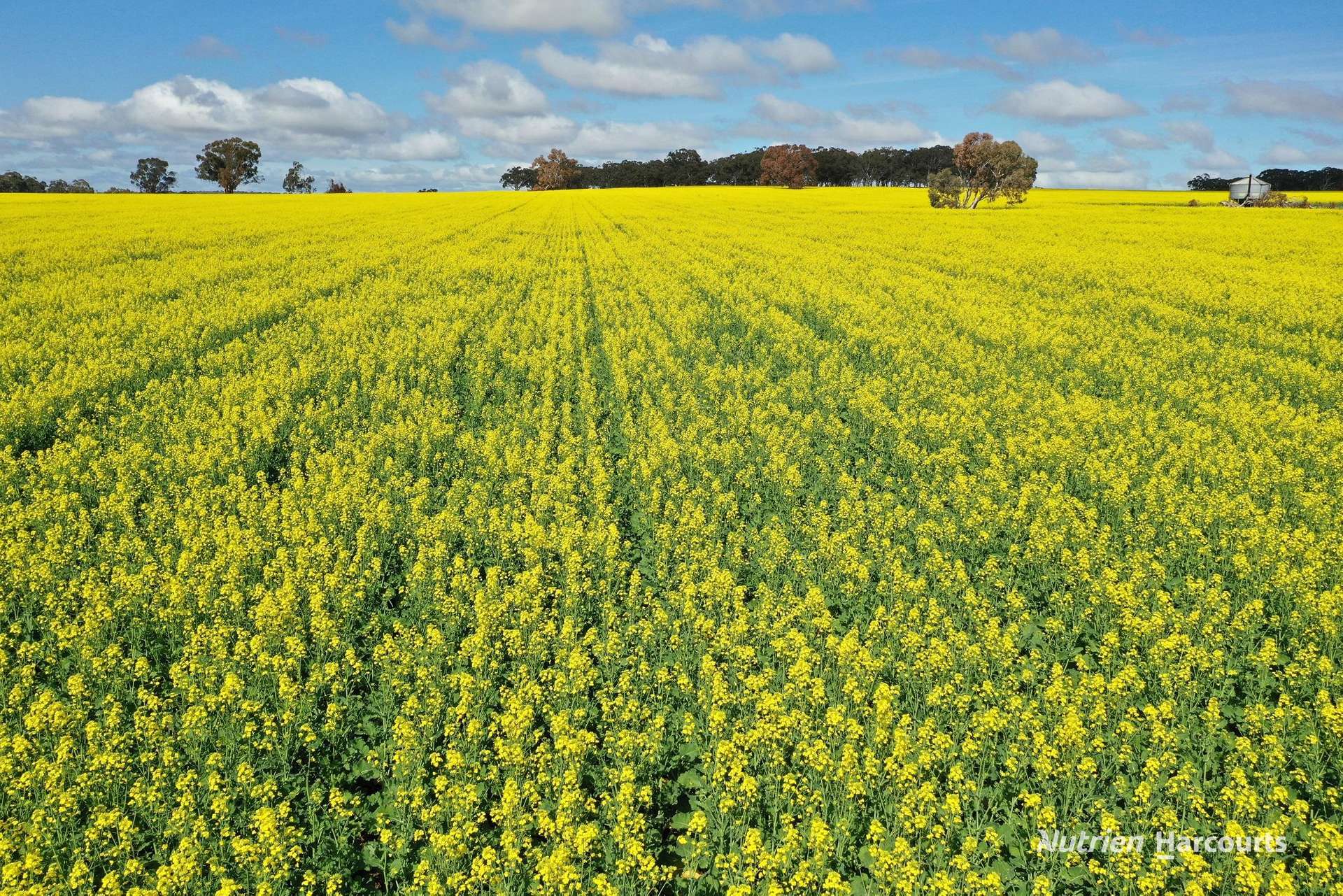 10986 Great Northern Highway, New Norcia For Sale by Farmbuy.com - image 2