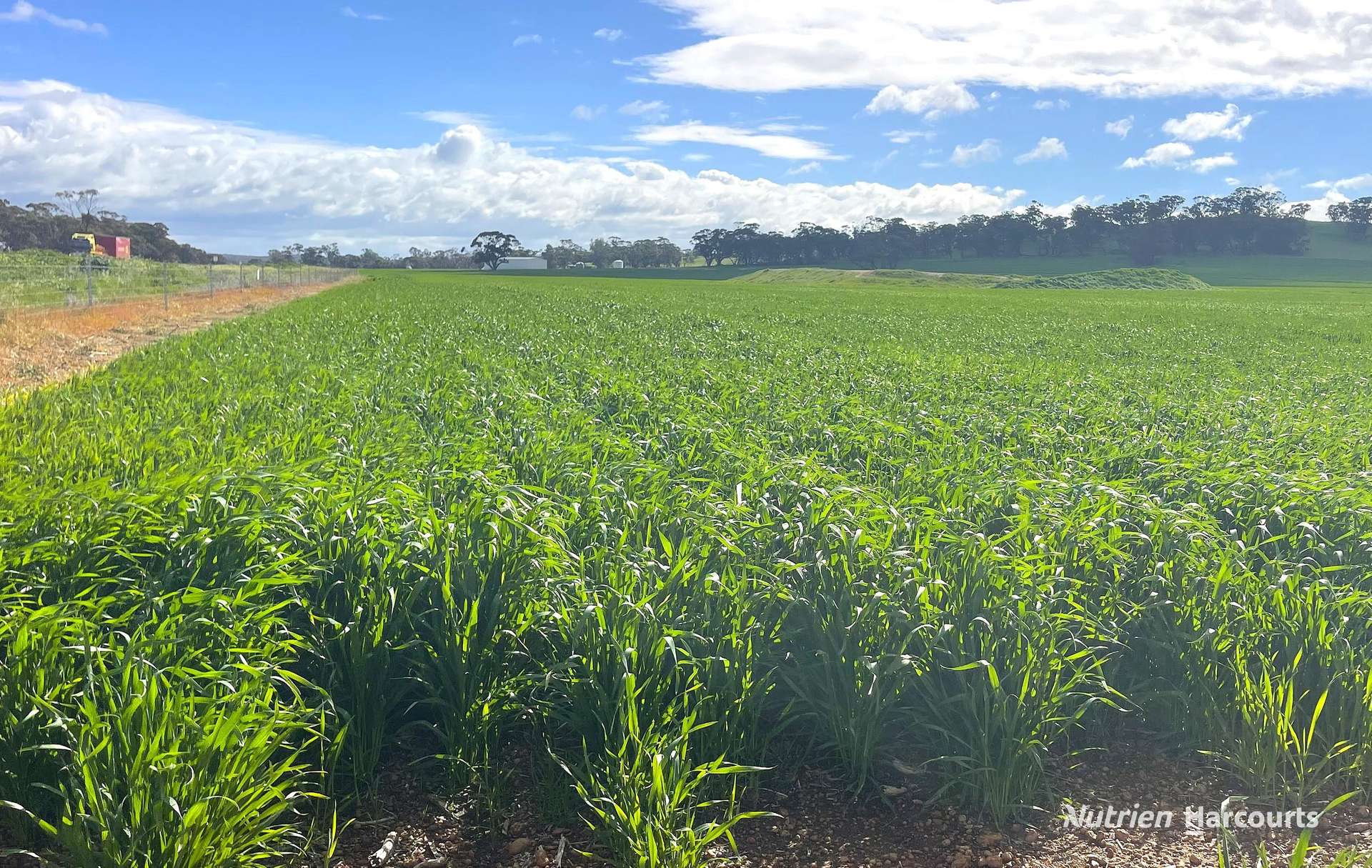 10986 Great Northern Highway, New Norcia For Sale by Farmbuy.com - image 17