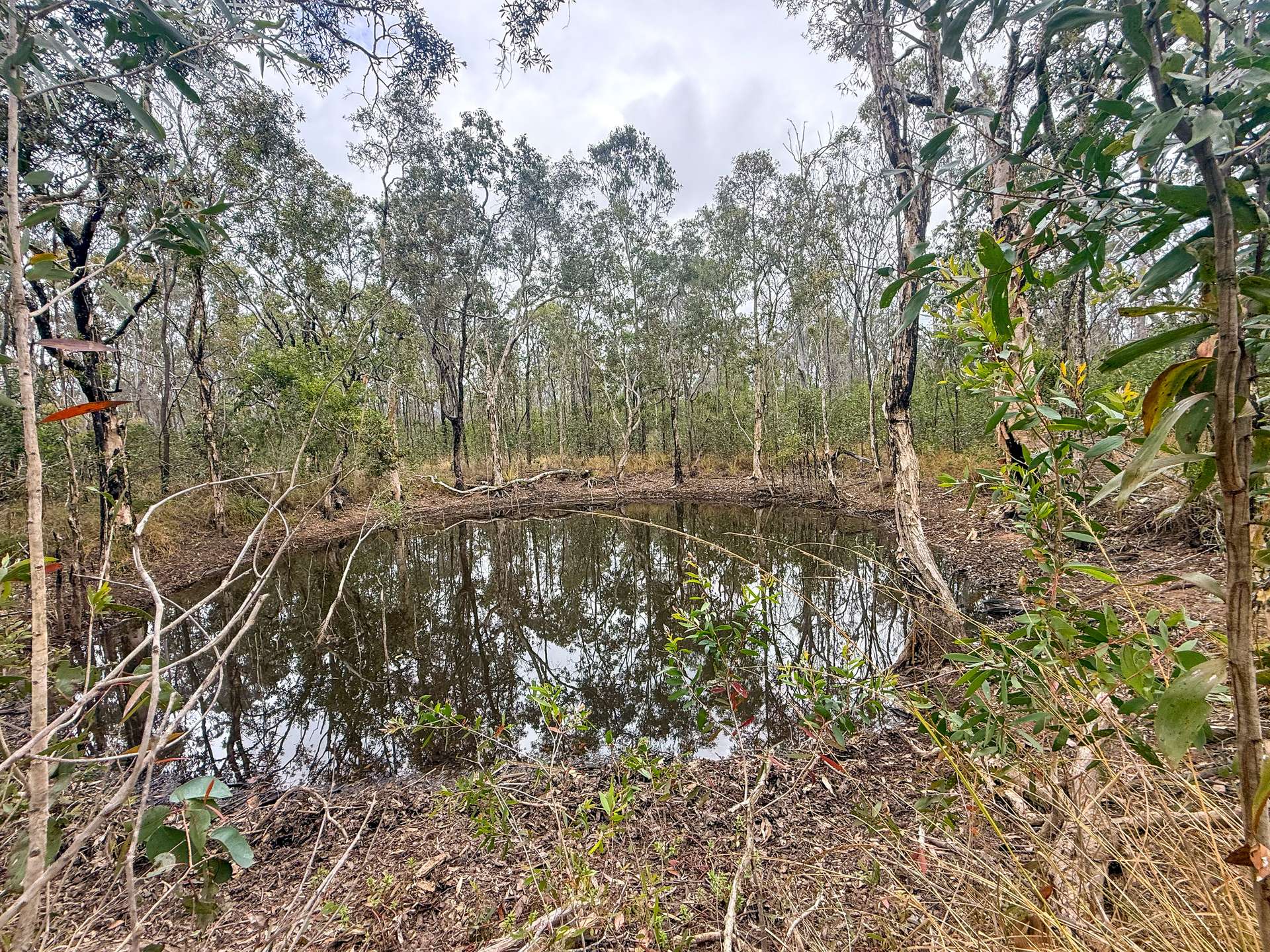 757 Gorge Road, Taunton For Sale by Farmbuy.com - image 15