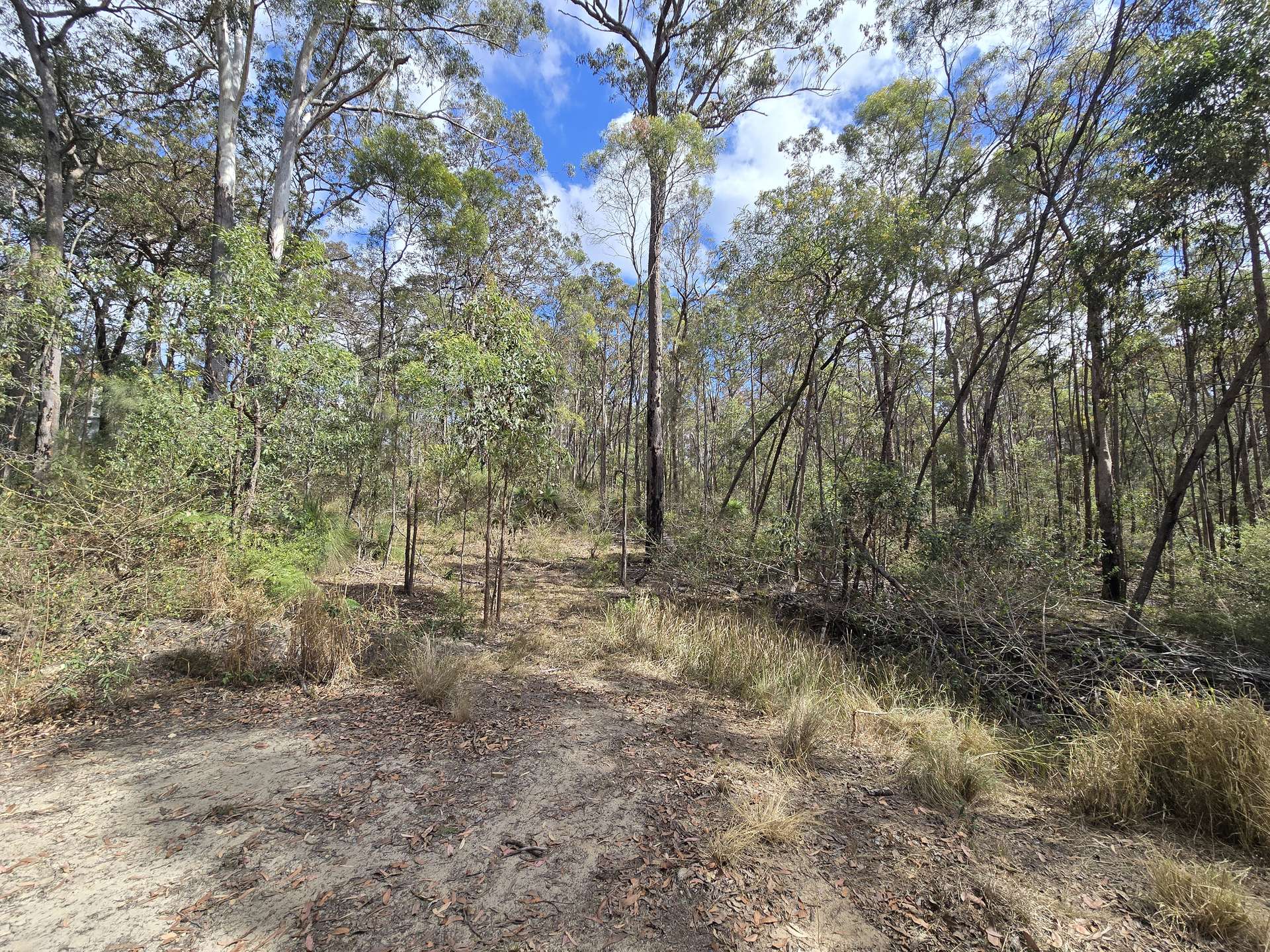 11 Pinnell Road, Crows Nest For Sale by Farmbuy.com - image 7