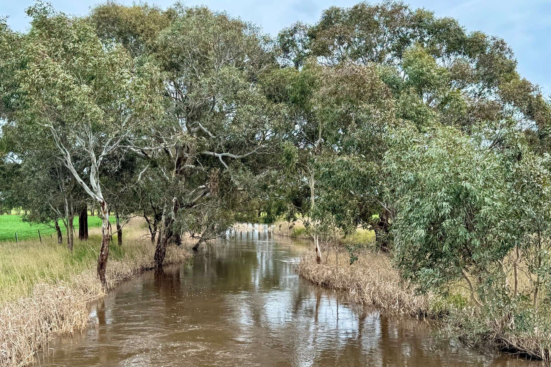 720 Estate Road, Lake Bolac For Sale by Farmbuy.com - image 26