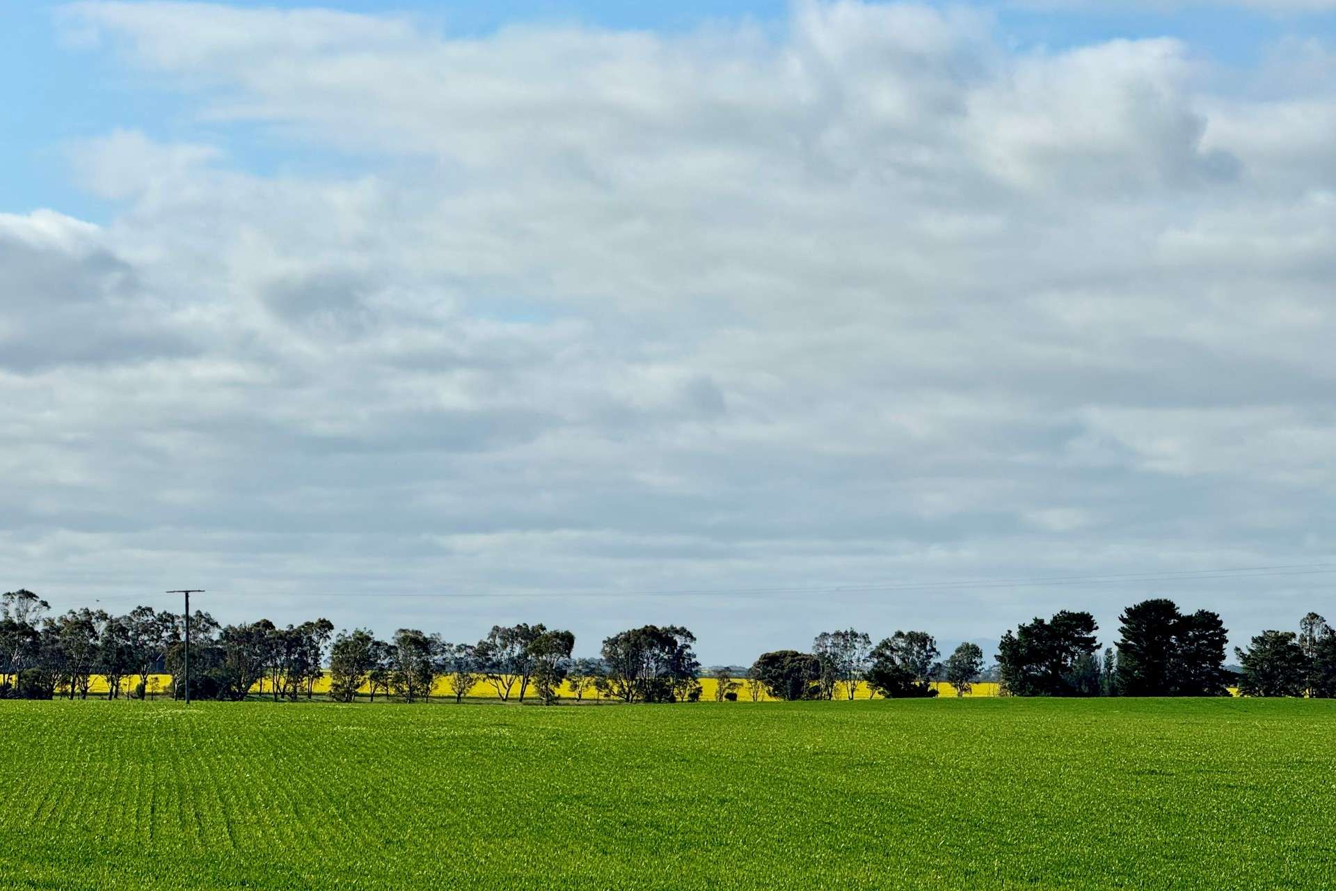 720 Estate Road, Lake Bolac For Sale by Farmbuy.com - image 11