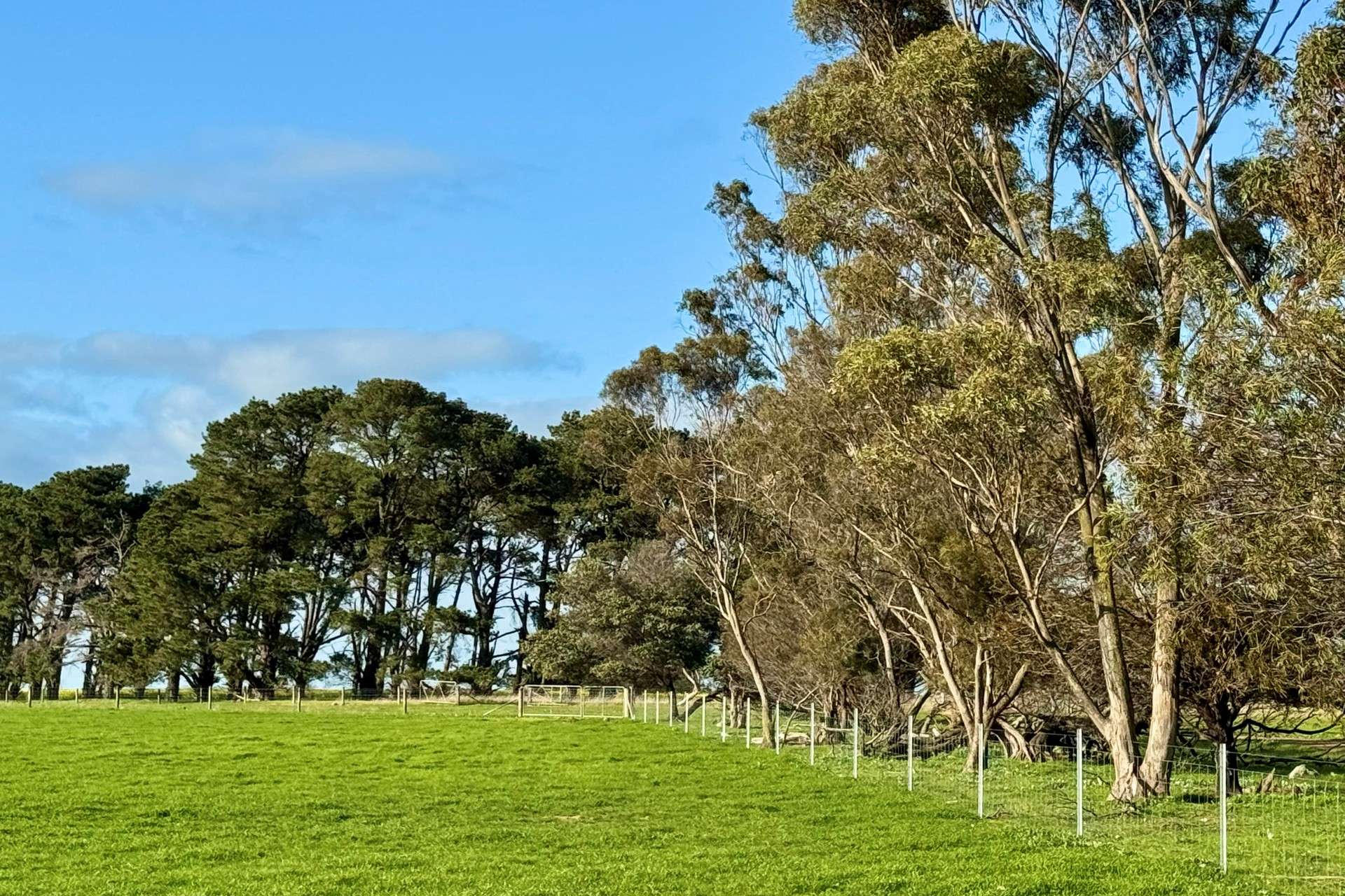 720 Estate Road, Lake Bolac For Sale by Farmbuy.com - image 28