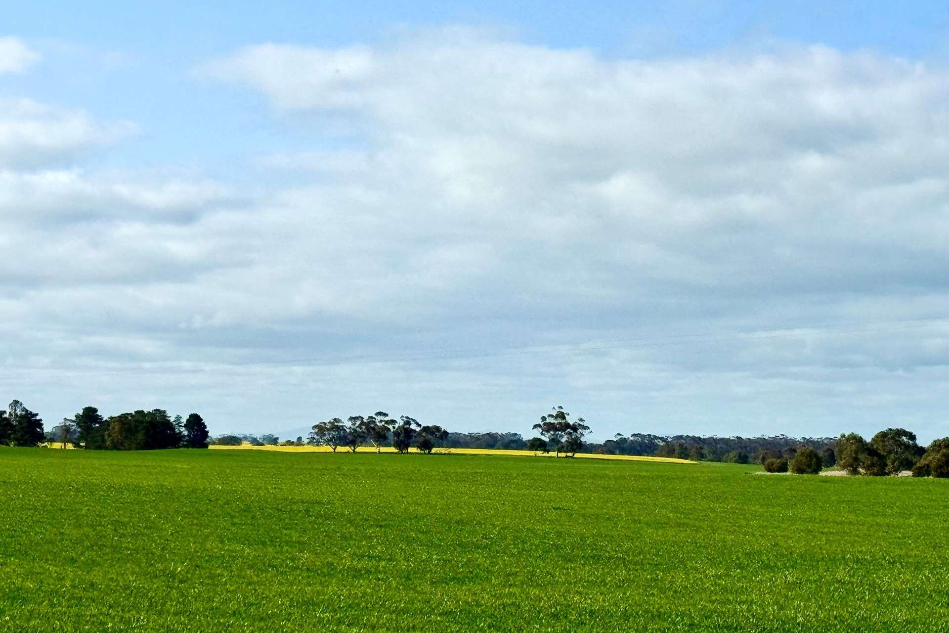 720 Estate Road, Lake Bolac For Sale by Farmbuy.com - image 24