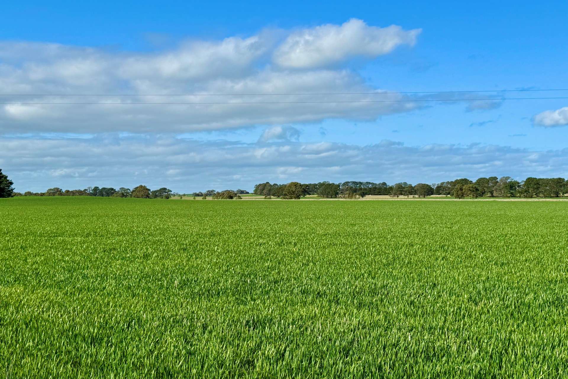 720 Estate Road, Lake Bolac For Sale by Farmbuy.com - image 17