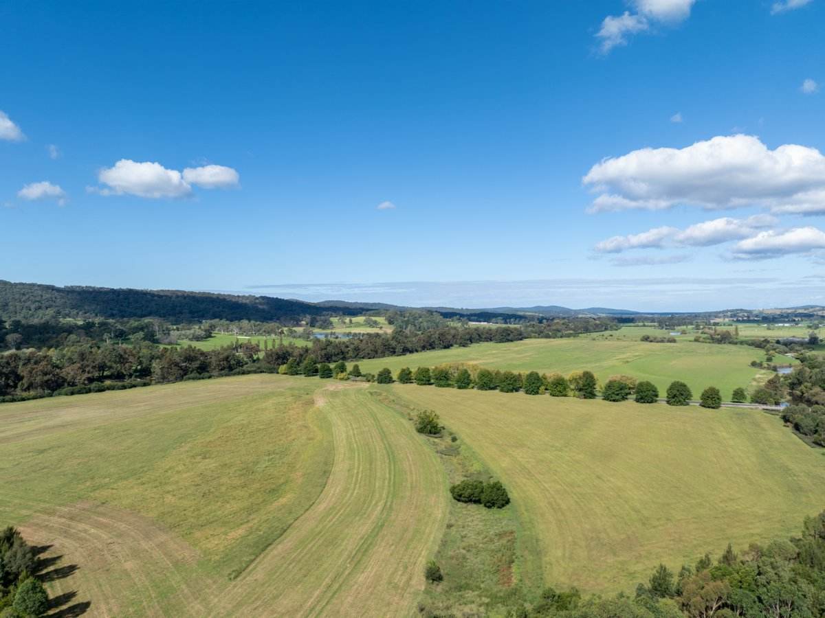Lot 3201 East Street, Bega For Sale by Farmbuy.com - image 6