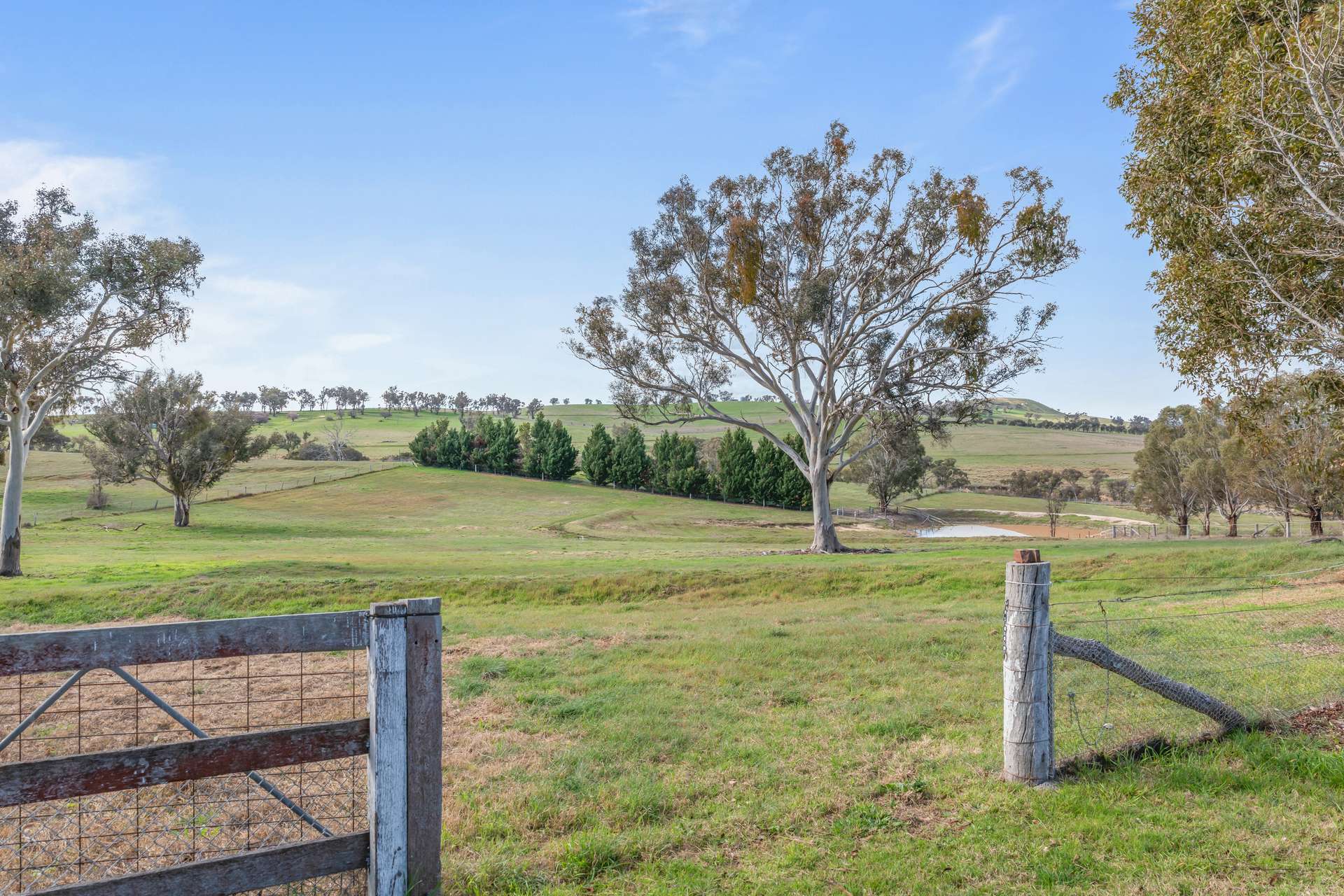 136 Sutherland Drive, Georges Plains For Sale by Farmbuy.com - image 19
