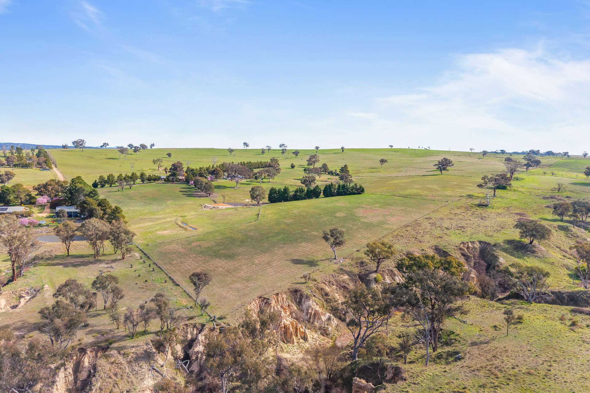 136 Sutherland Drive, Georges Plains For Sale by Farmbuy.com - image 24