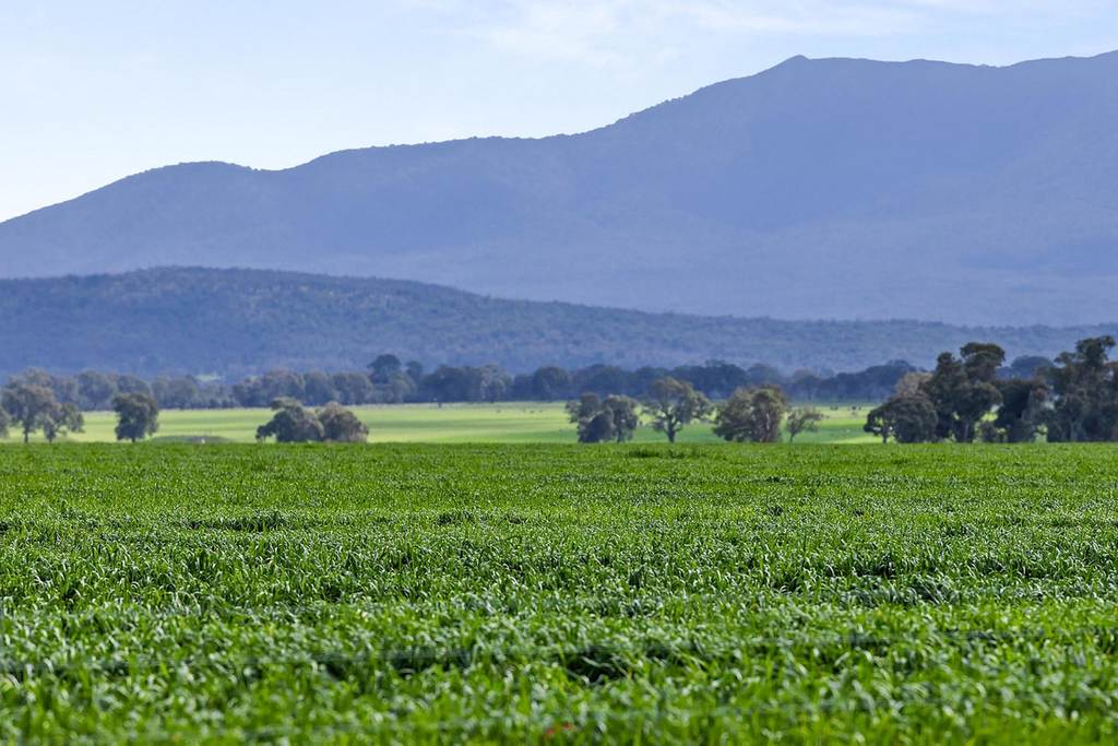 1077 Yarram Gap Road, Willaura VIC 3379