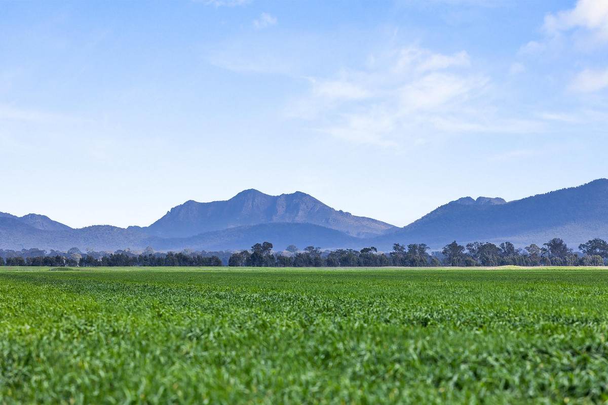 1077 Yarram Gap Road, Willaura Auction by Farmbuy.com - image 3