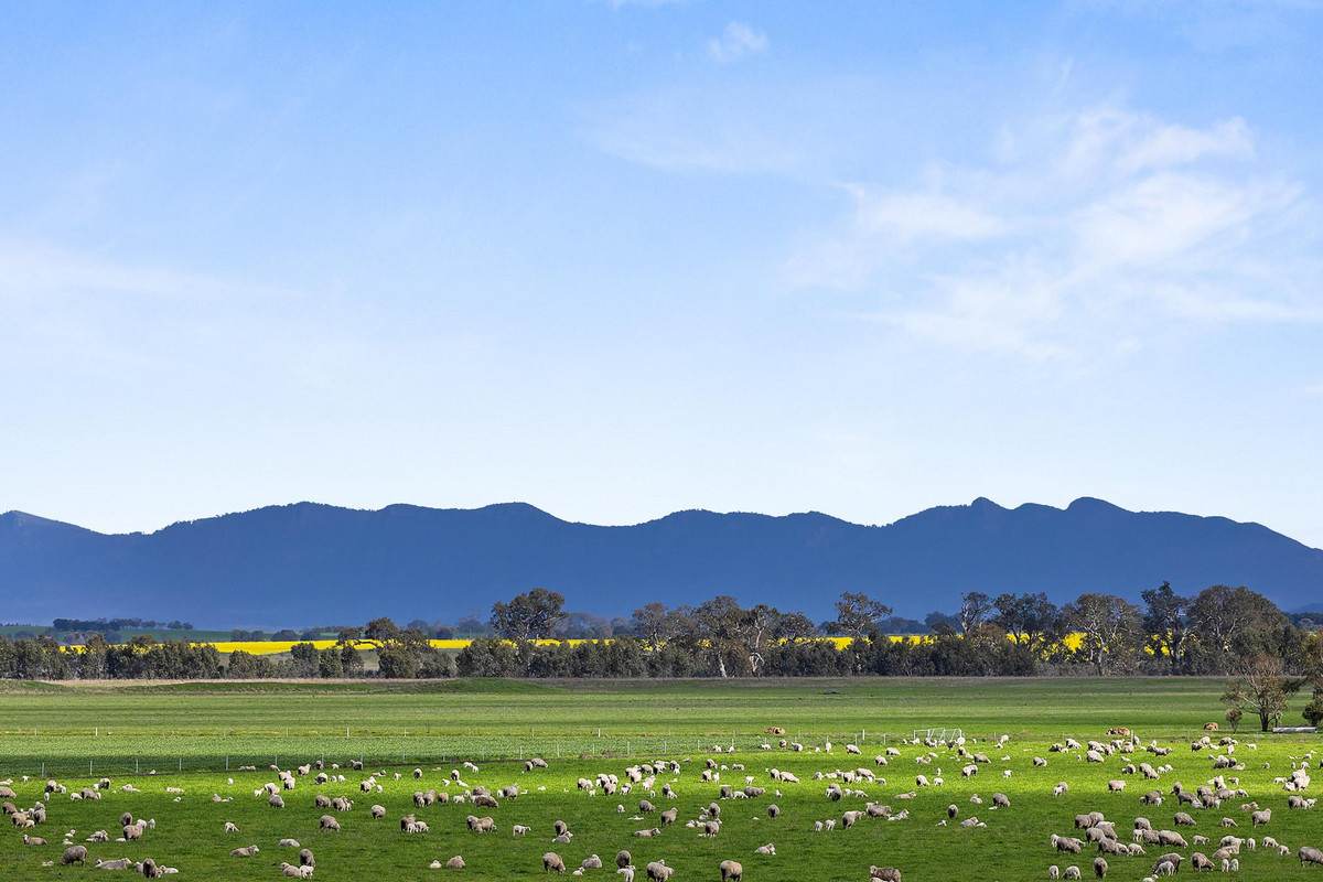 1077 Yarram Gap Road, Willaura Auction by Farmbuy.com - image 2