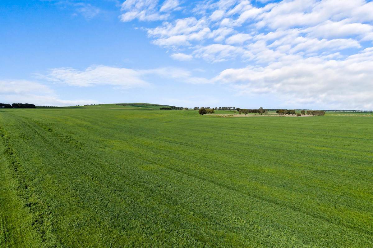 1077 Yarram Gap Road, Willaura Auction by Farmbuy.com - image 8