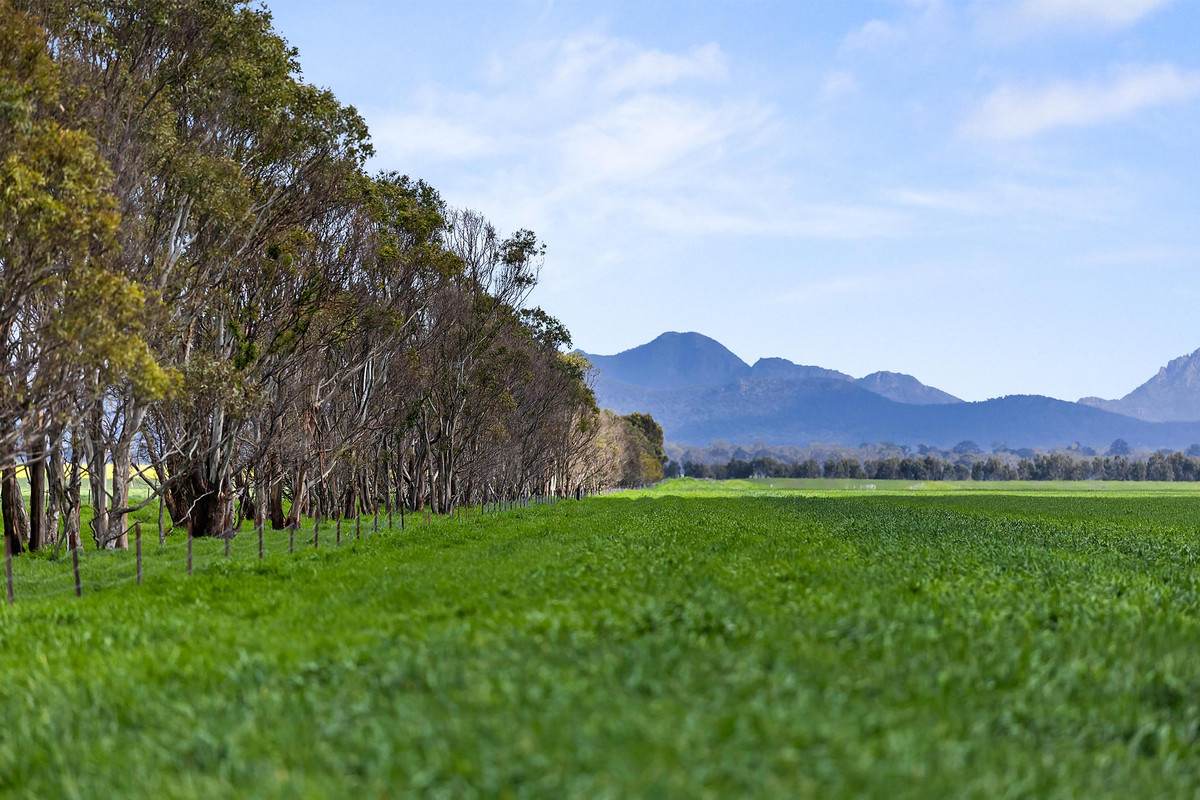 1077 Yarram Gap Road, Willaura Auction by Farmbuy.com - image 5