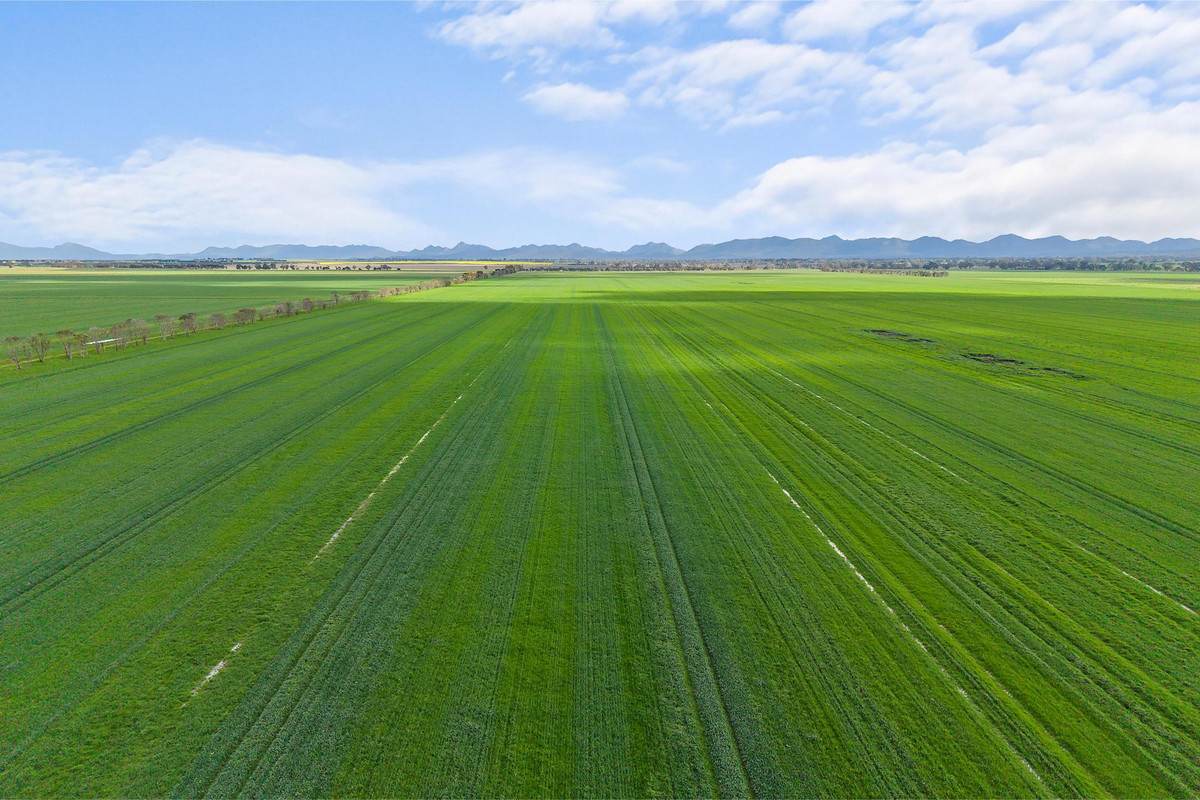 1077 Yarram Gap Road, Willaura Auction by Farmbuy.com - image 9