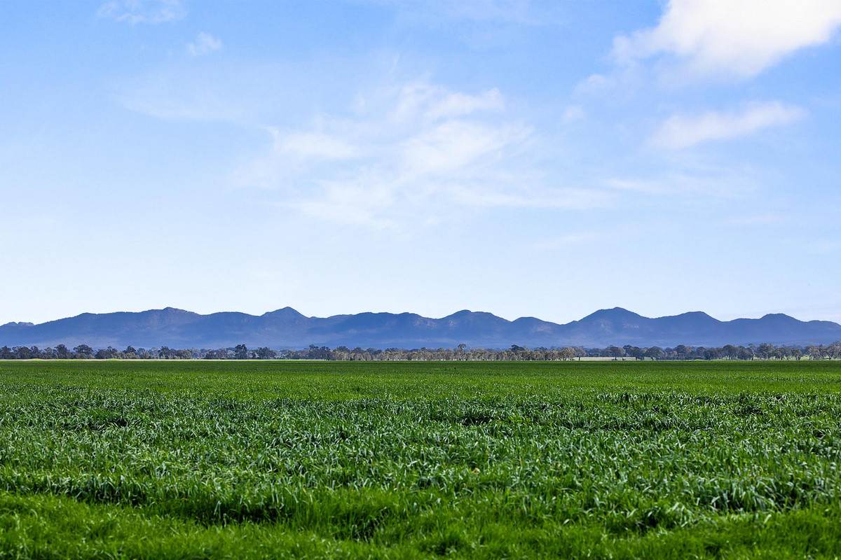 1077 Yarram Gap Road, Willaura Auction by Farmbuy.com - image 6