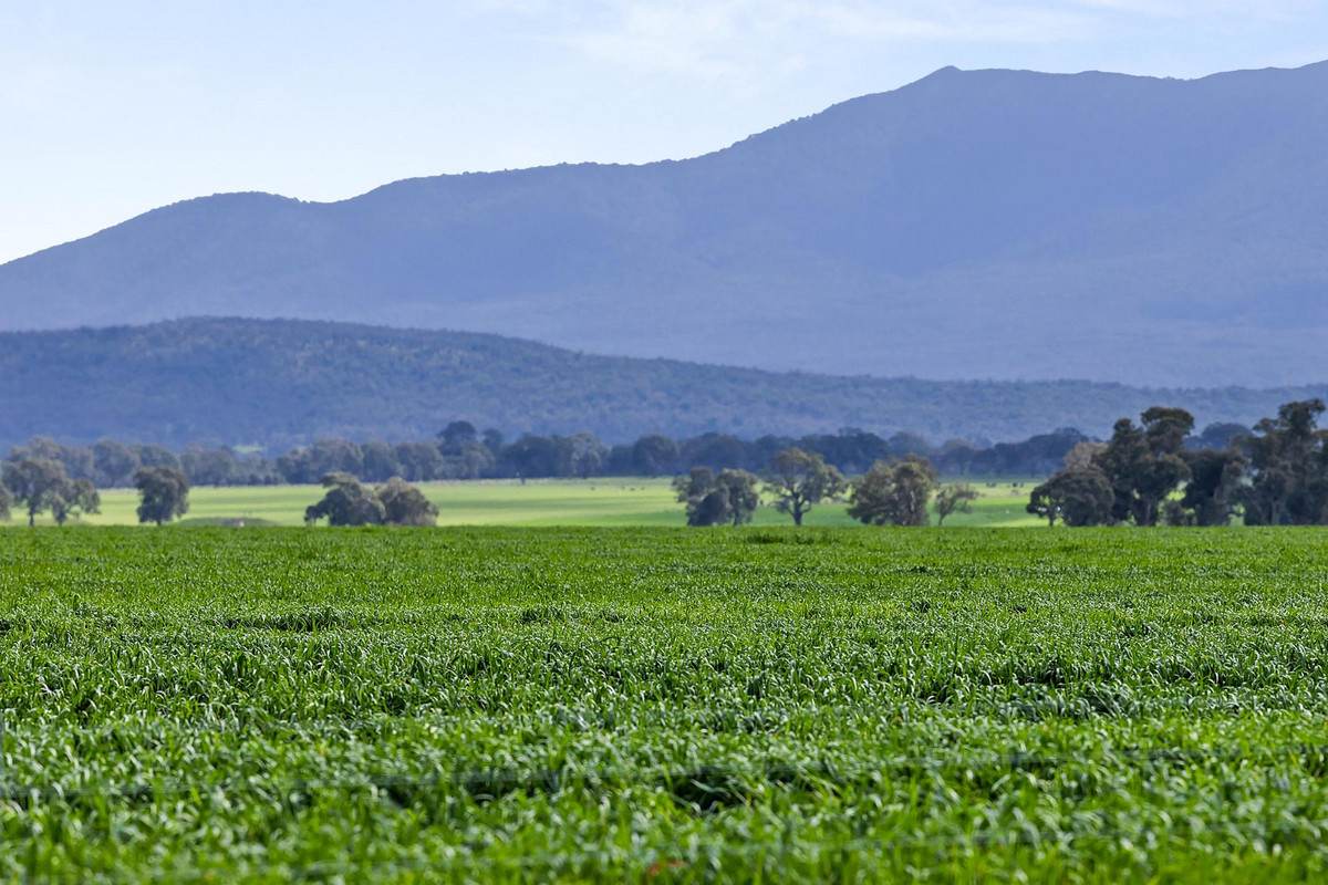 1077 Yarram Gap Road, Willaura Auction by Farmbuy.com - image 1