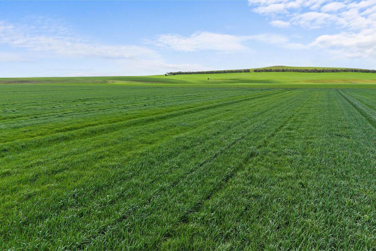 1077 Yarram Gap Road, Willaura Auction by Farmbuy.com - image 4