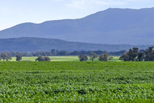 1077 Yarram Gap Road, Willaura VIC 3379