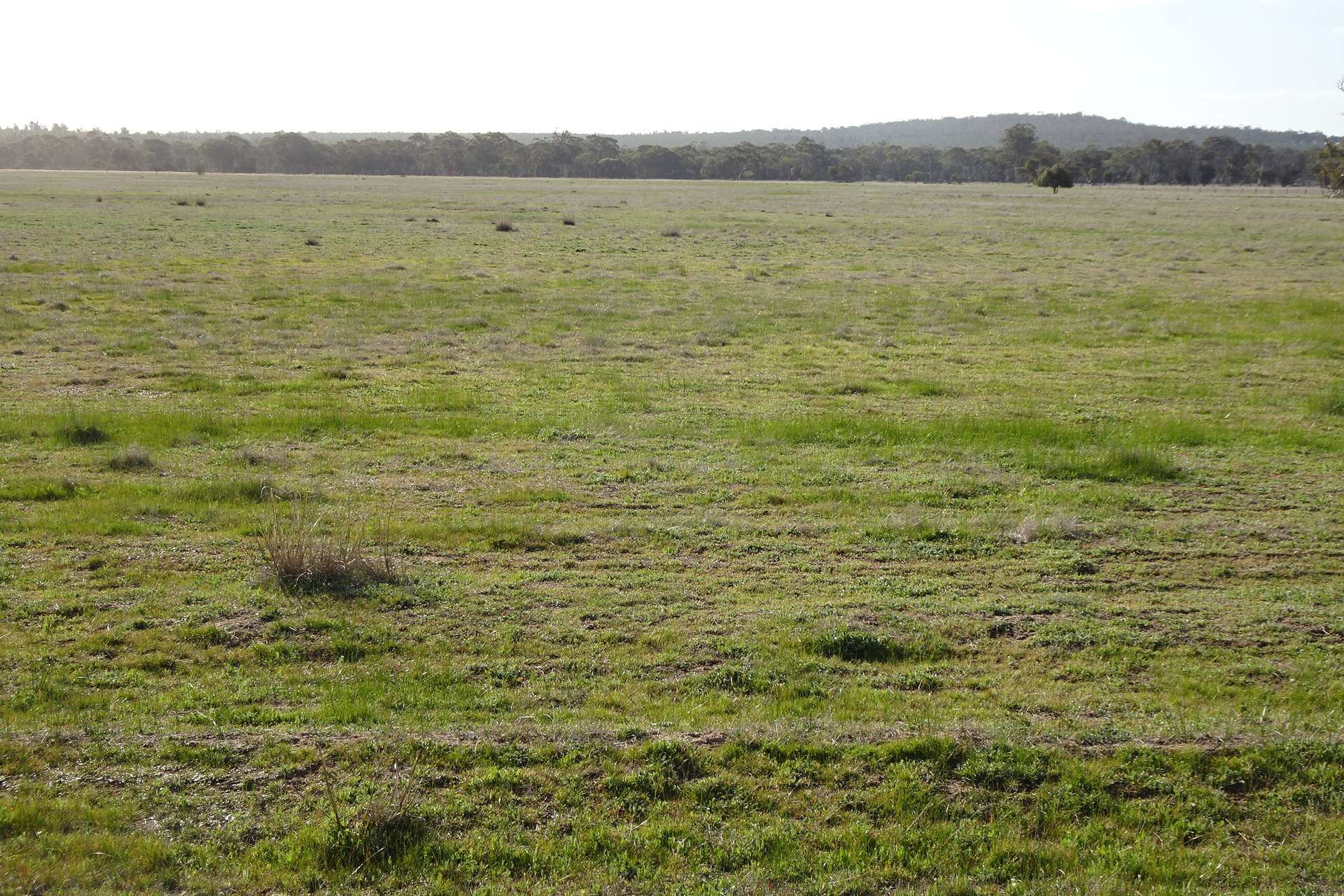 Lot 702 Dale Kokeby Road, Kokeby For Sale by Farmbuy.com - image 11