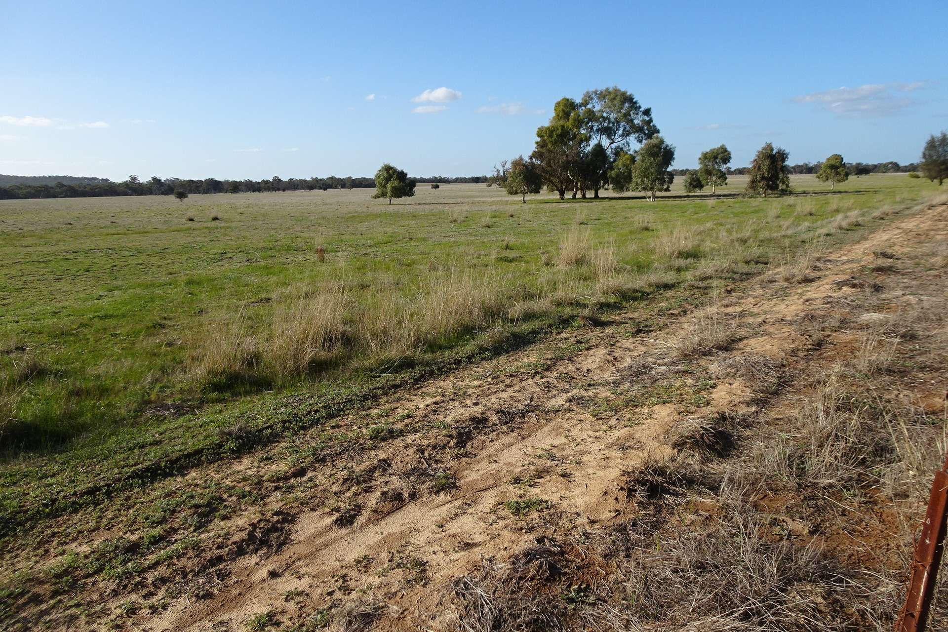Lot 702 Dale Kokeby Road, Kokeby For Sale by Farmbuy.com - image 16