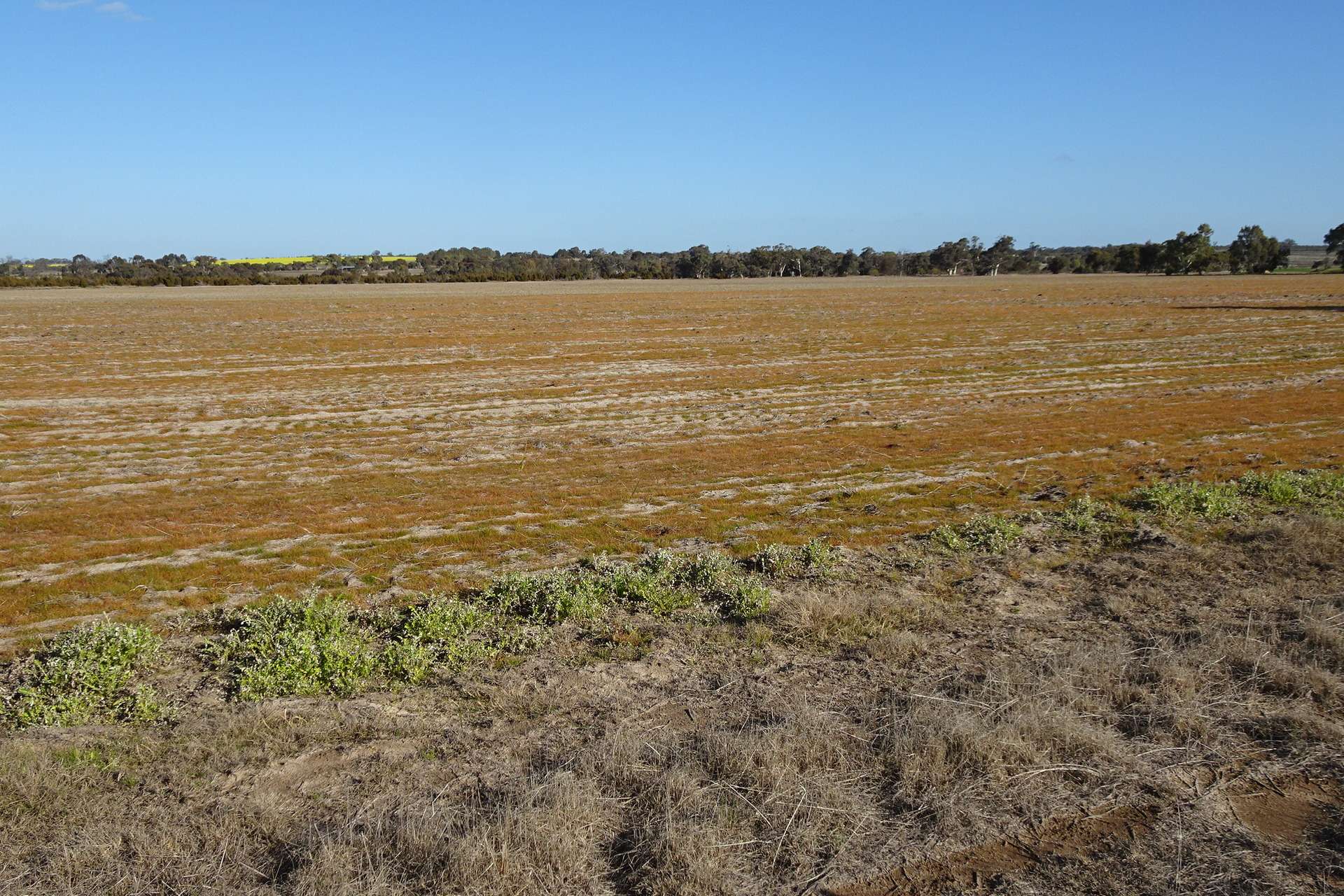Lot 702 Dale Kokeby Road, Kokeby For Sale by Farmbuy.com - image 14