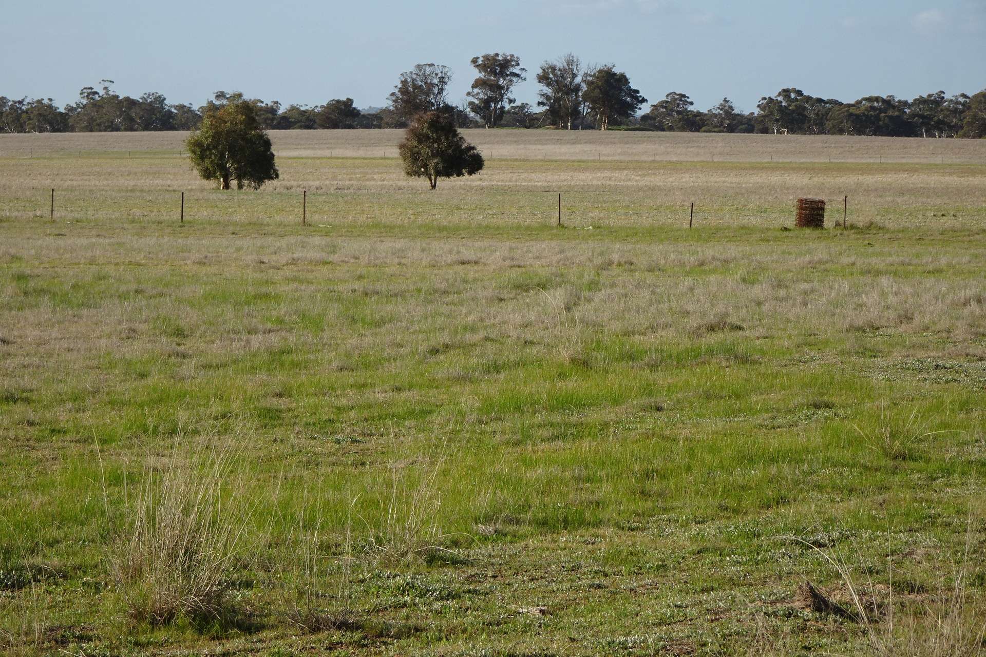 Lot 702 Dale Kokeby Road, Kokeby For Sale by Farmbuy.com - image 10