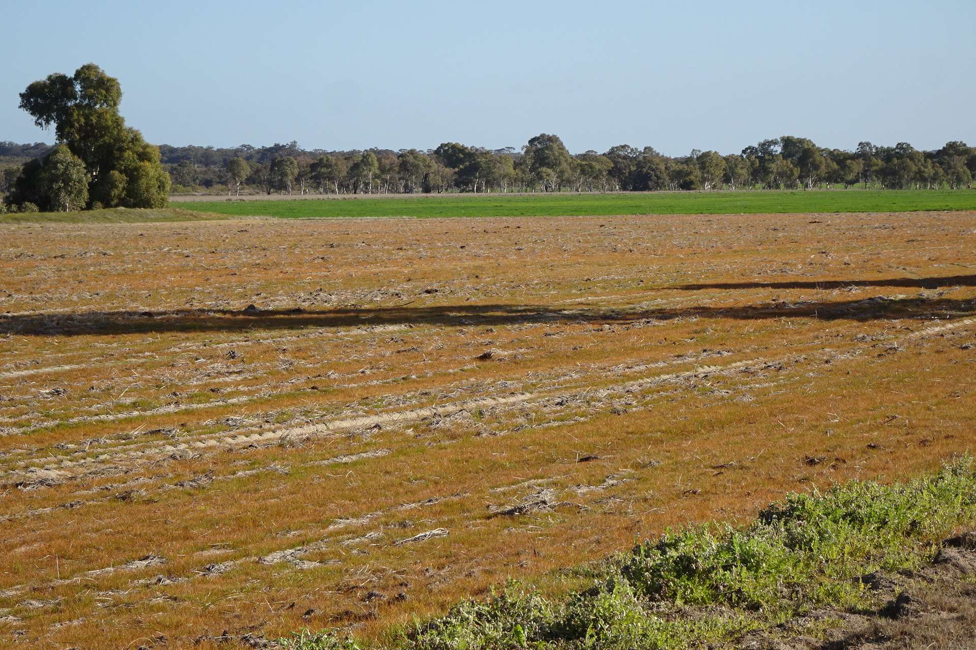 Lot 702 Dale Kokeby Road, Kokeby For Sale by Farmbuy.com - image 15