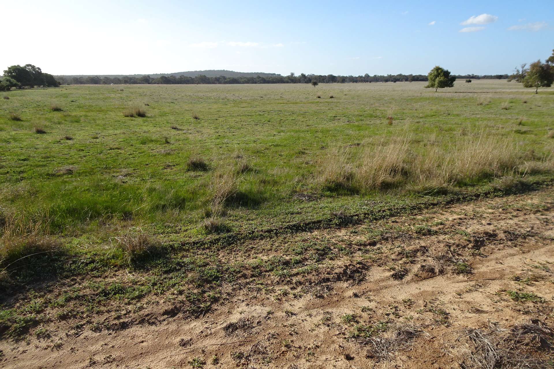 Lot 702 Dale Kokeby Road, Kokeby For Sale by Farmbuy.com - image 17