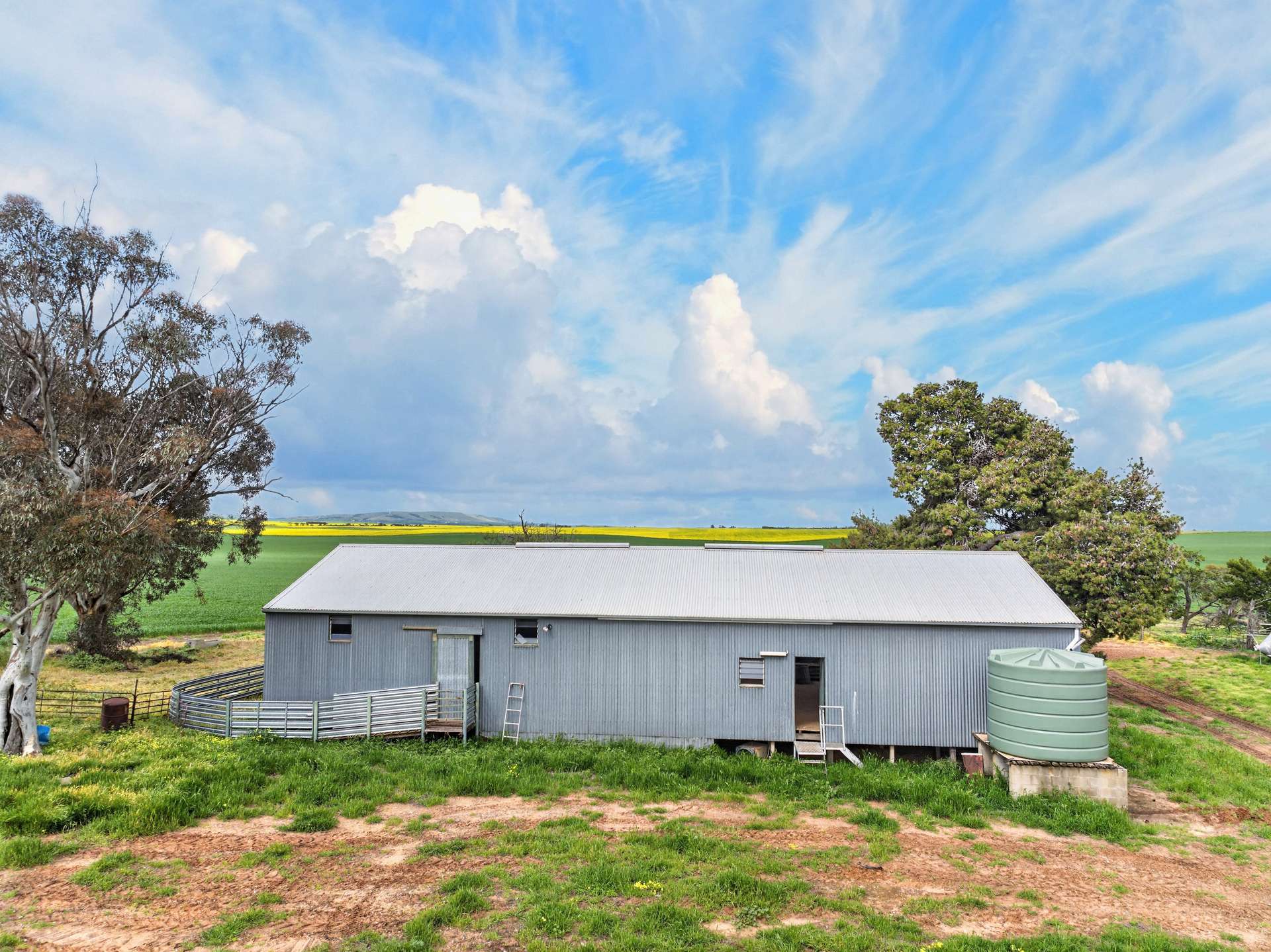 'Barunga West' Tower View Road, Wokurna For Sale by Farmbuy.com - image 11