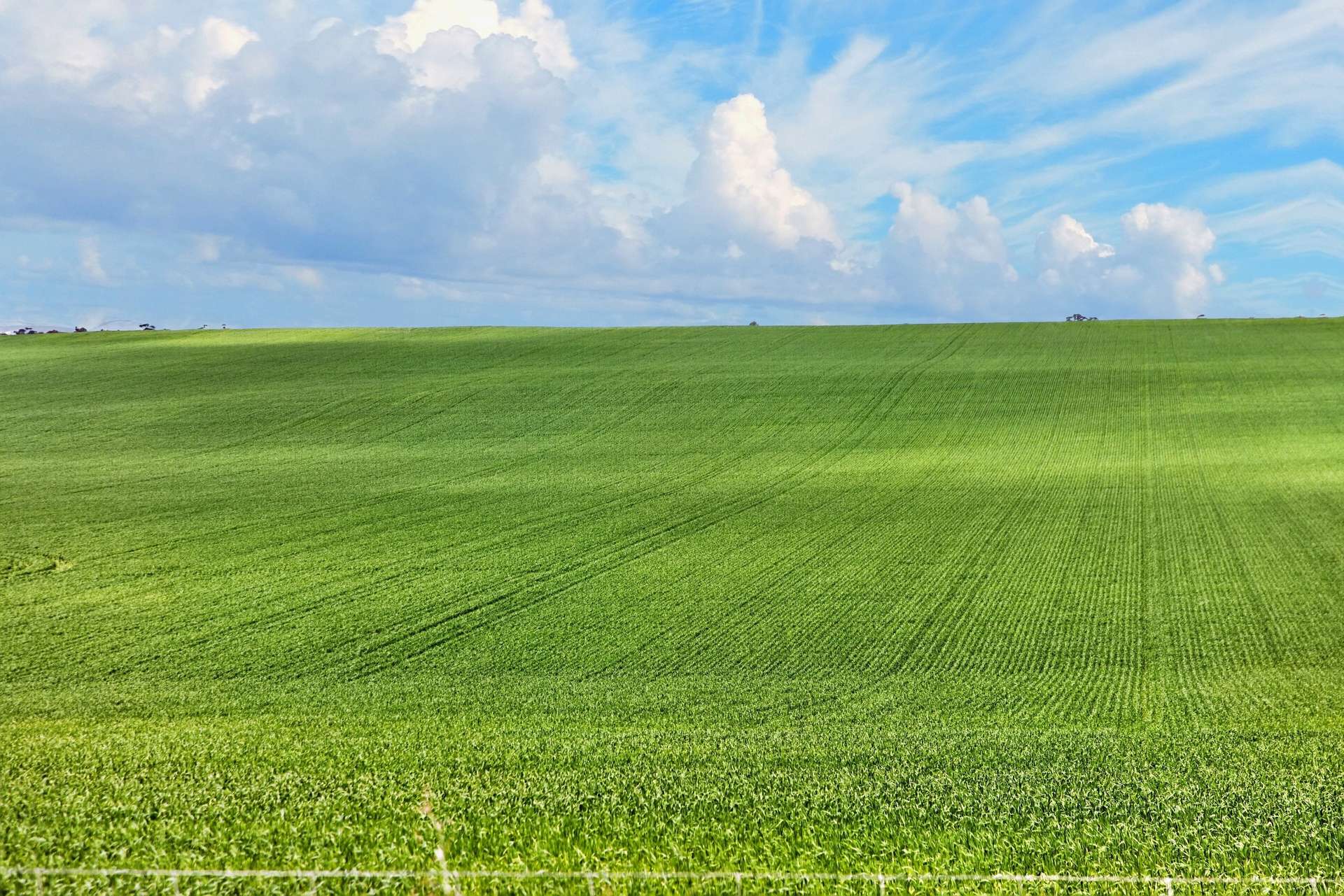 'Barunga West' Tower View Road, Wokurna For Sale by Farmbuy.com - image 3