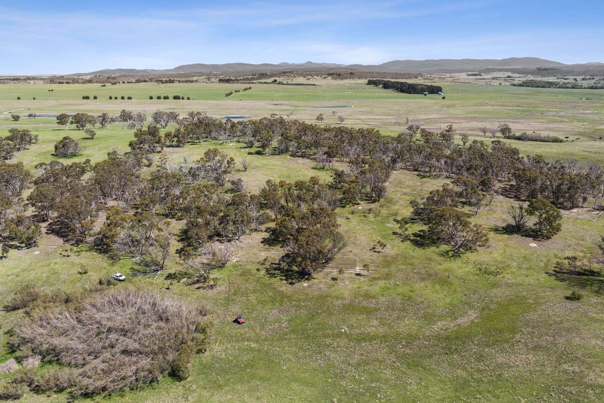 154 Hazeldell Road, Mulloon For Sale by Farmbuy.com - image 33