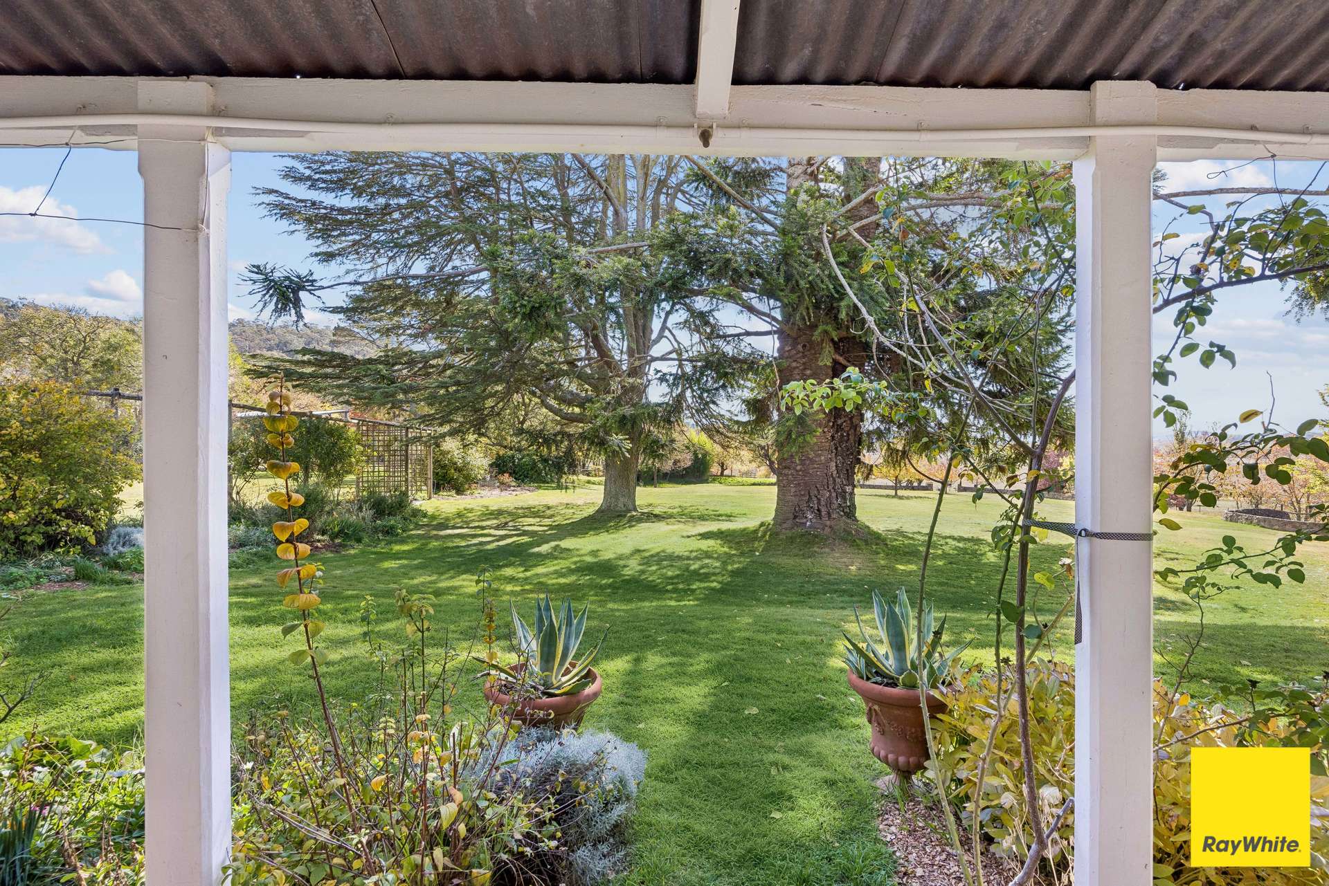 154 Hazeldell Road, Mulloon For Sale by Farmbuy.com - image 4