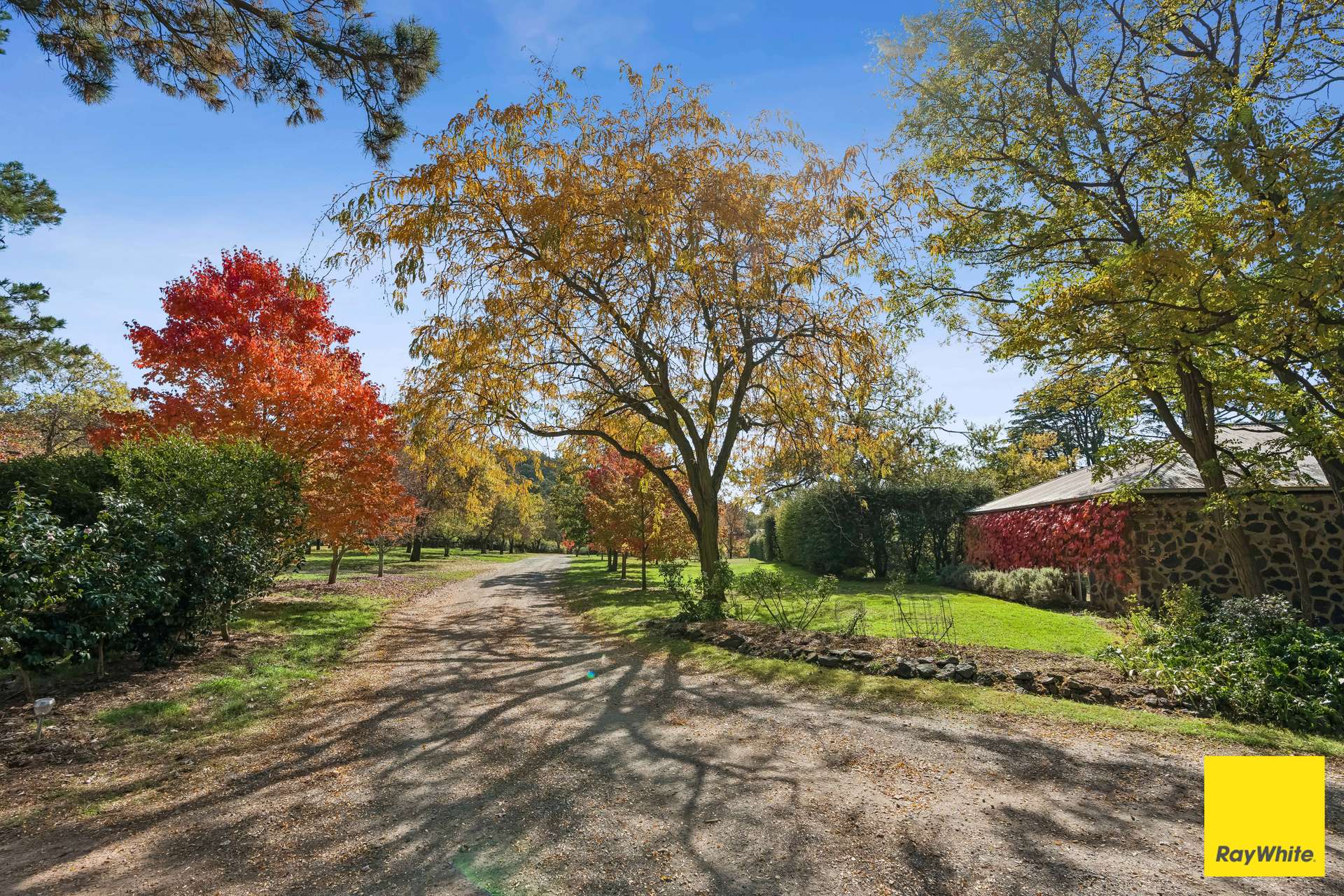 154 Hazeldell Road, Mulloon For Sale by Farmbuy.com - image 24