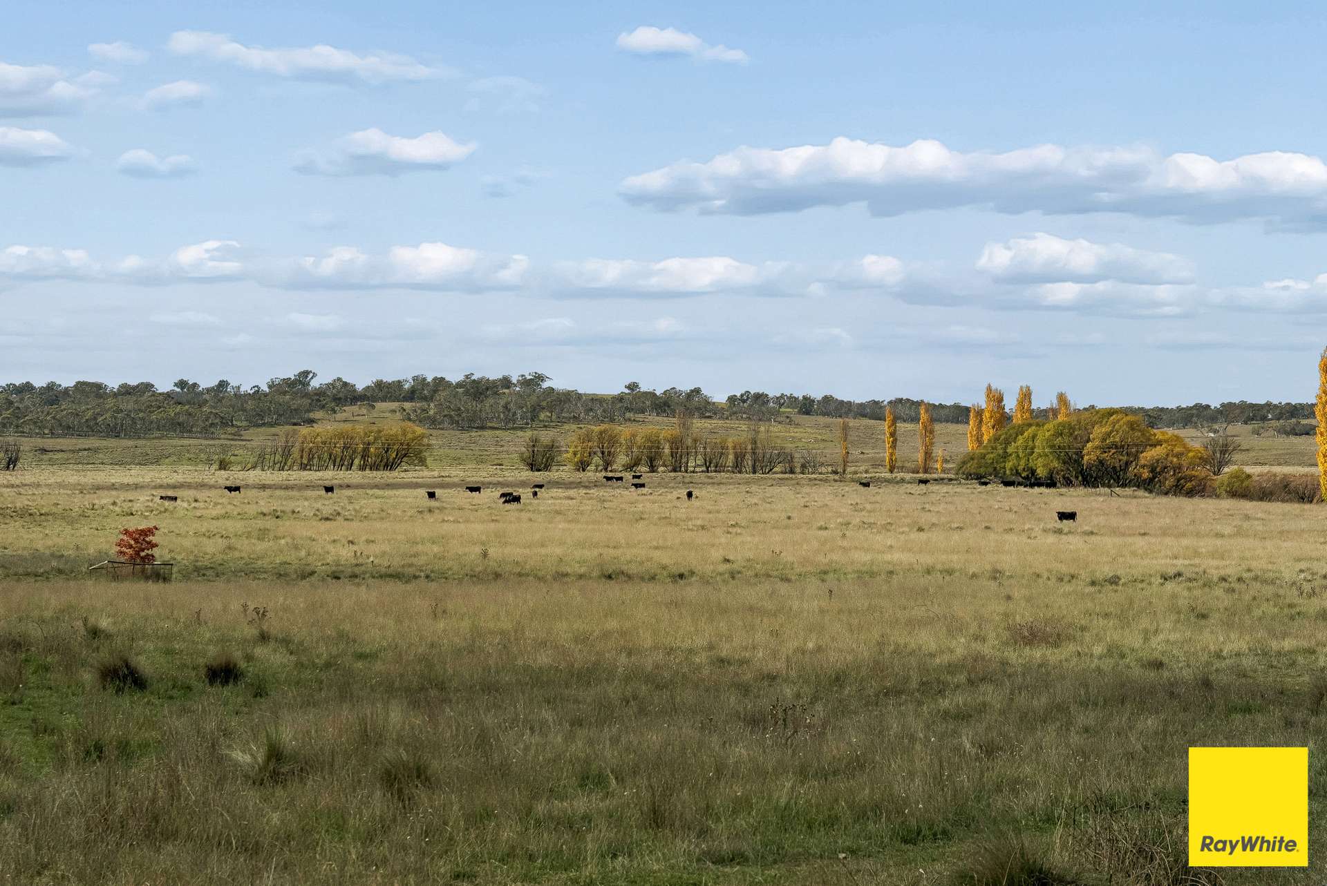 154 Hazeldell Road, Mulloon For Sale by Farmbuy.com - image 21