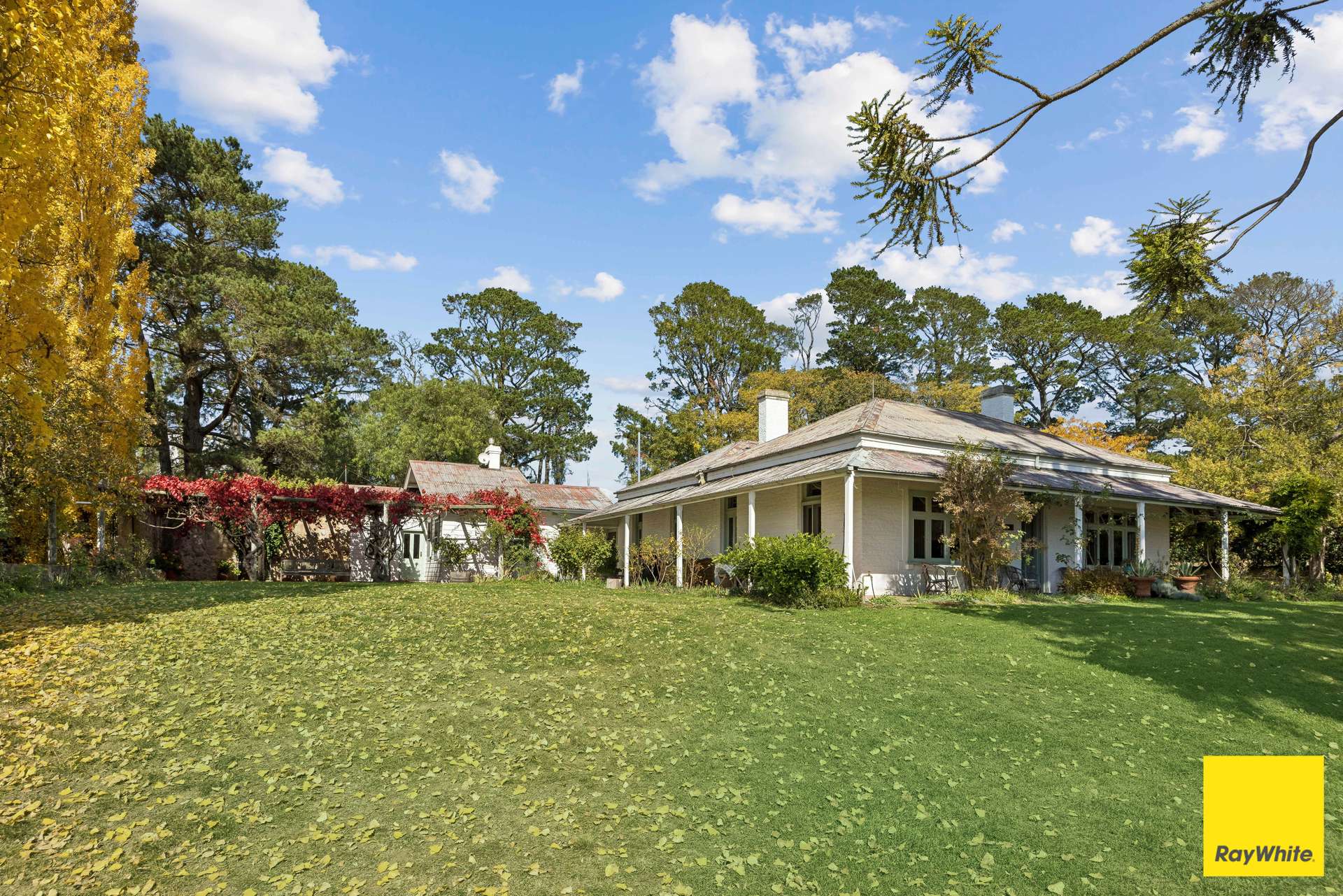154 Hazeldell Road, Mulloon For Sale by Farmbuy.com - image 17