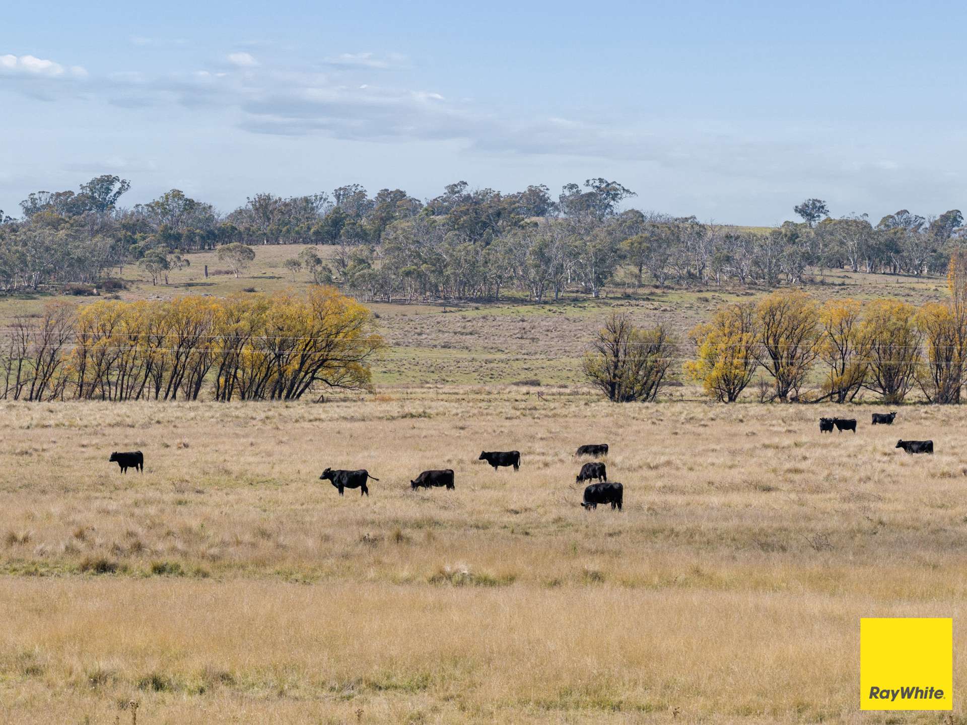 154 Hazeldell Road, Mulloon For Sale by Farmbuy.com - image 28