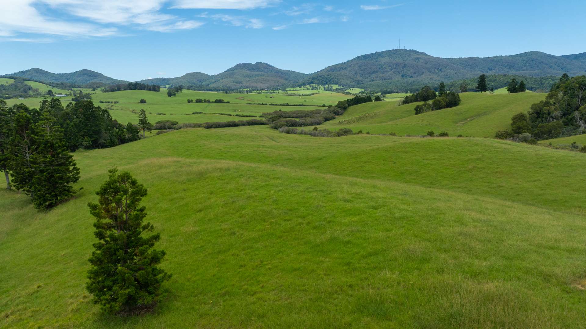 "Aberfeldy"/174 Seccombes Road, Brooklana For Sale by Farmbuy.com - image 13