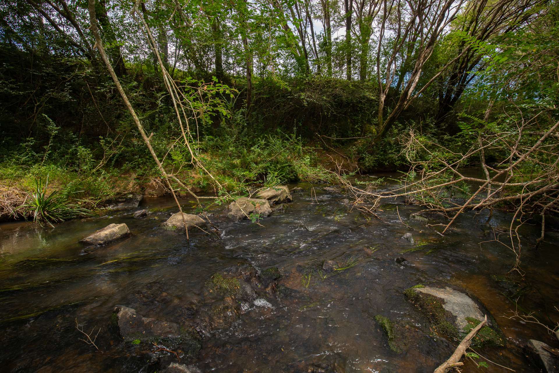 "Aberfeldy"/174 Seccombes Road, Brooklana For Sale by Farmbuy.com - image 5