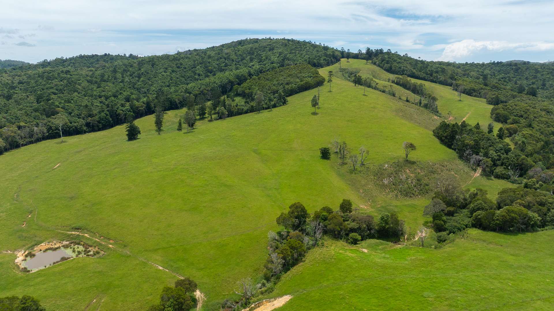 "Aberfeldy"/174 Seccombes Road, Brooklana For Sale by Farmbuy.com - image 15