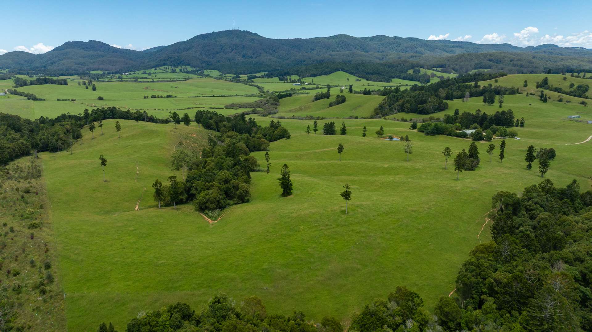 "Aberfeldy"/174 Seccombes Road, Brooklana For Sale by Farmbuy.com - image 16