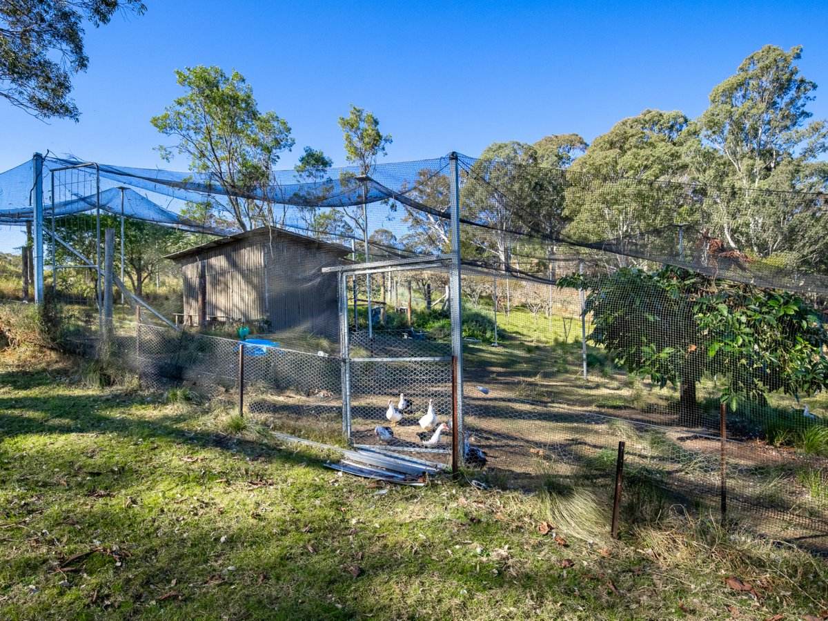 80 Margaret Park Road, Brogo For Sale by Farmbuy.com - image 25