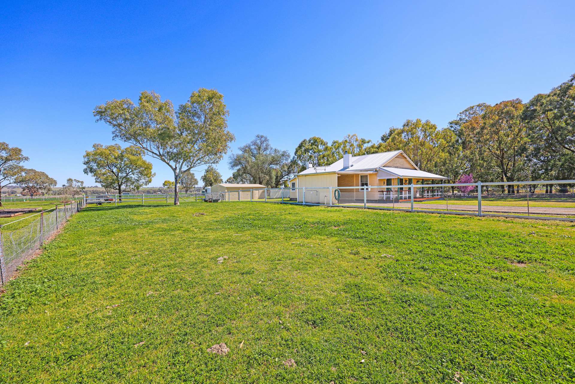 327 Meldorn Lane, Tamworth Auction by Farmbuy.com - image 1
