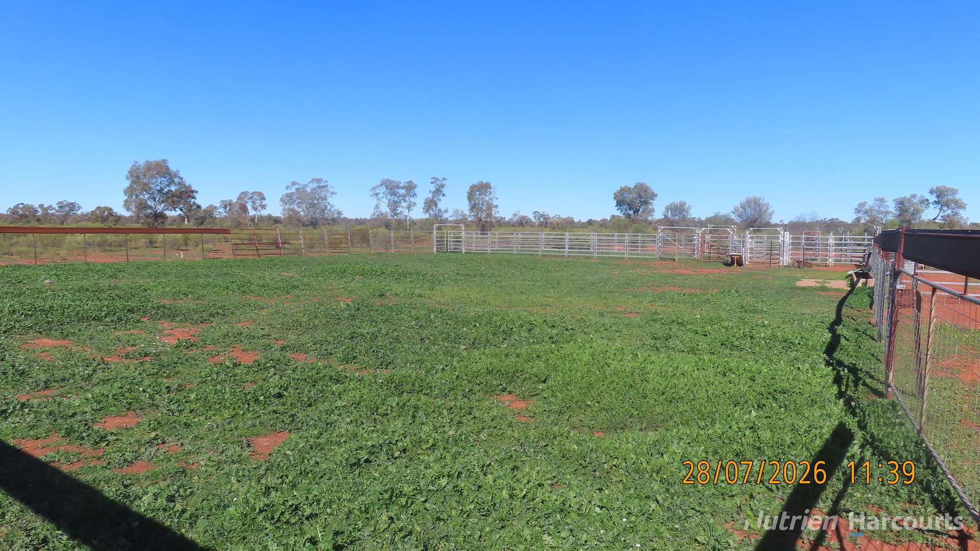 * Cooneybar Station, Cobar For Sale by Farmbuy.com - image 4
