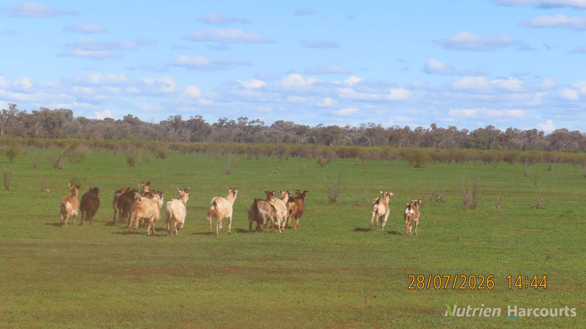 * Cooneybar Station, Cobar For Sale by Farmbuy.com - image 24