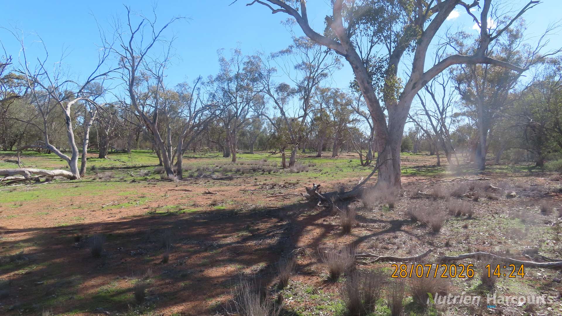 * Cooneybar Station, Cobar For Sale by Farmbuy.com - image 21