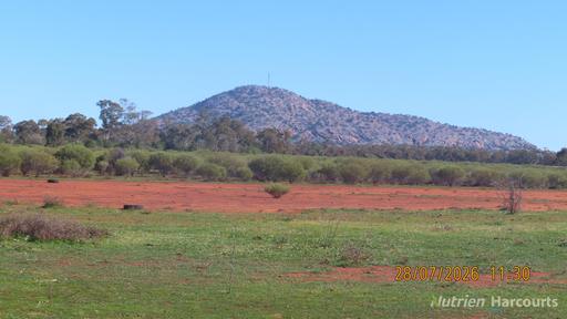 &ast; Cooneybar Station, Cobar NSW 2835